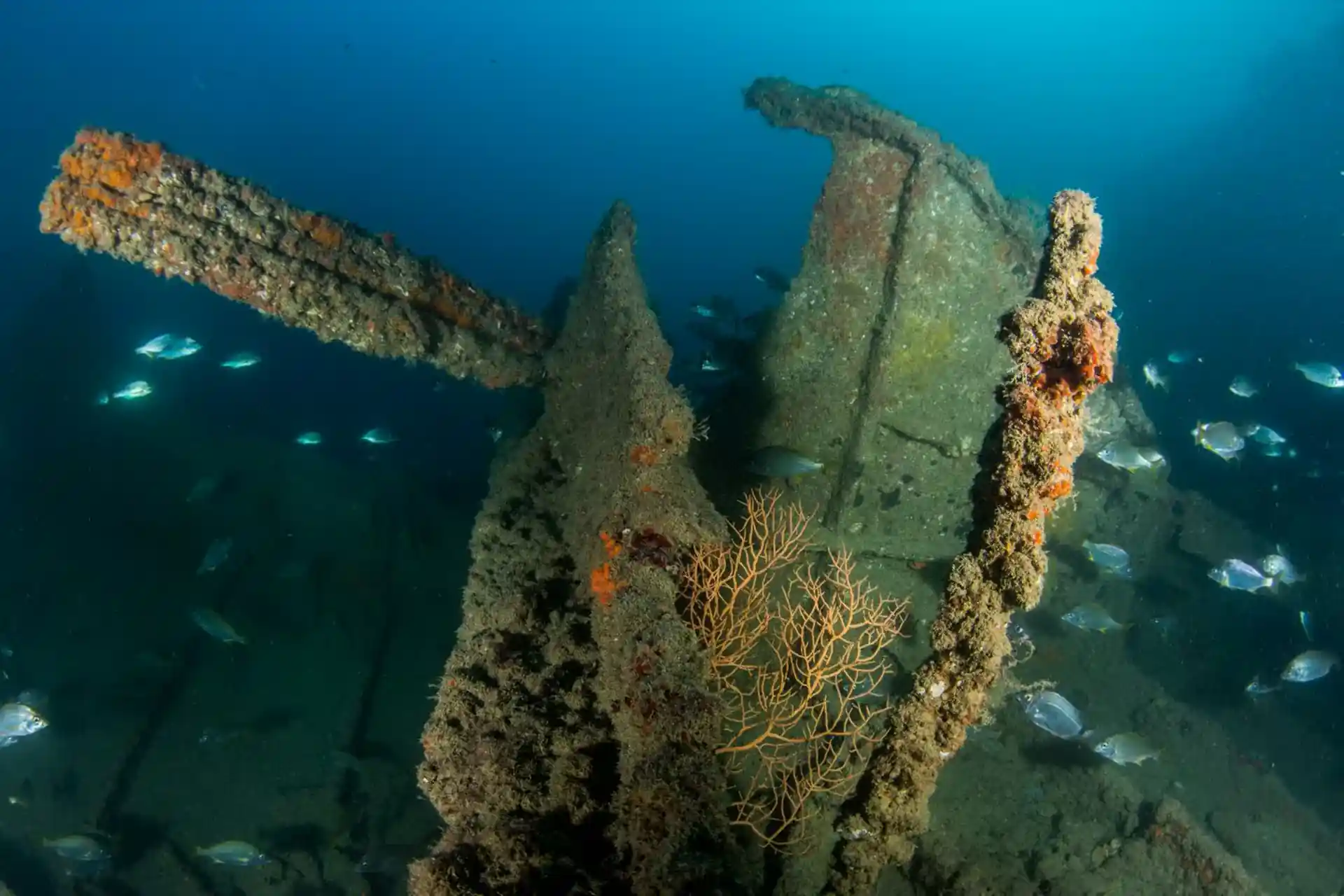 Dive shop photo