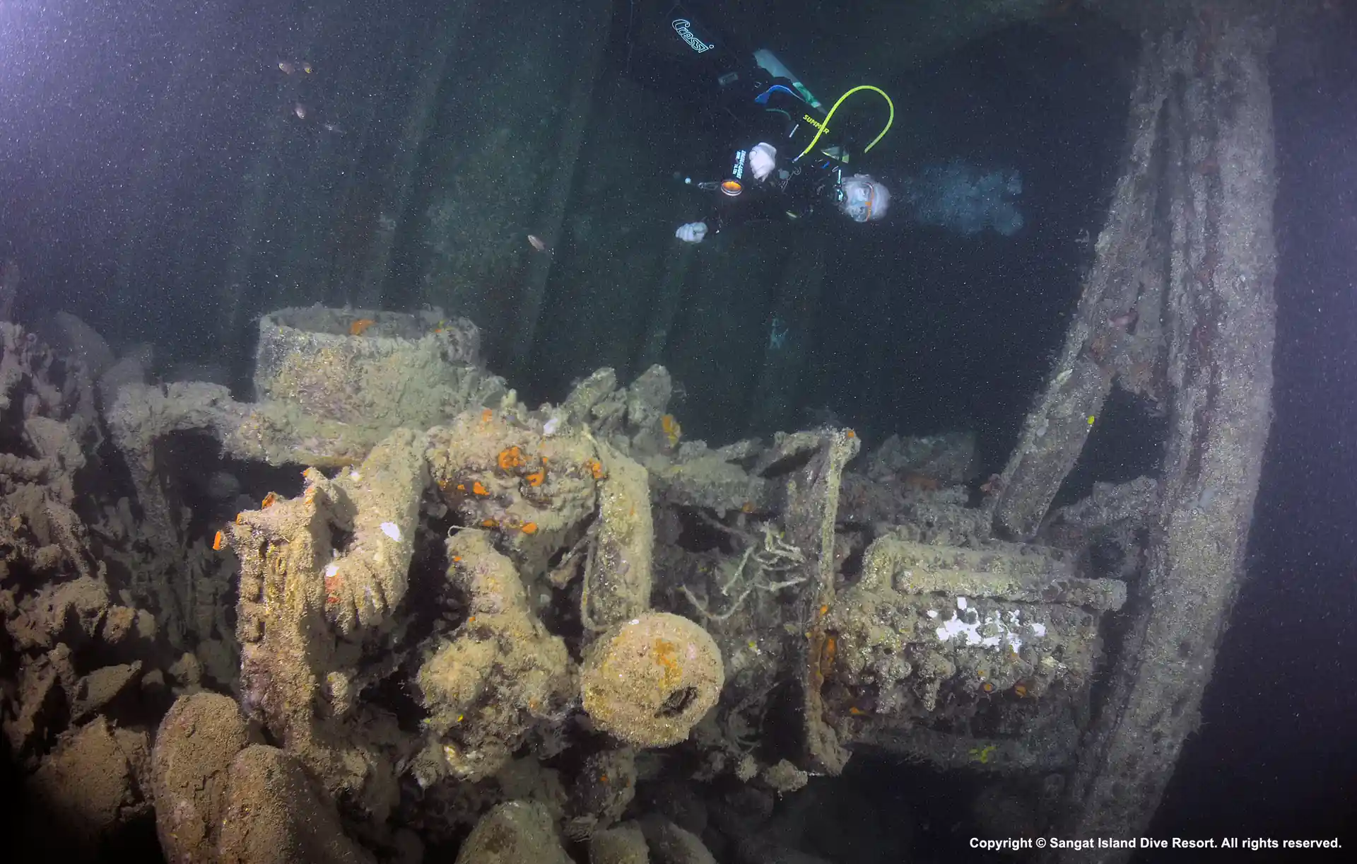 Dive shop photo