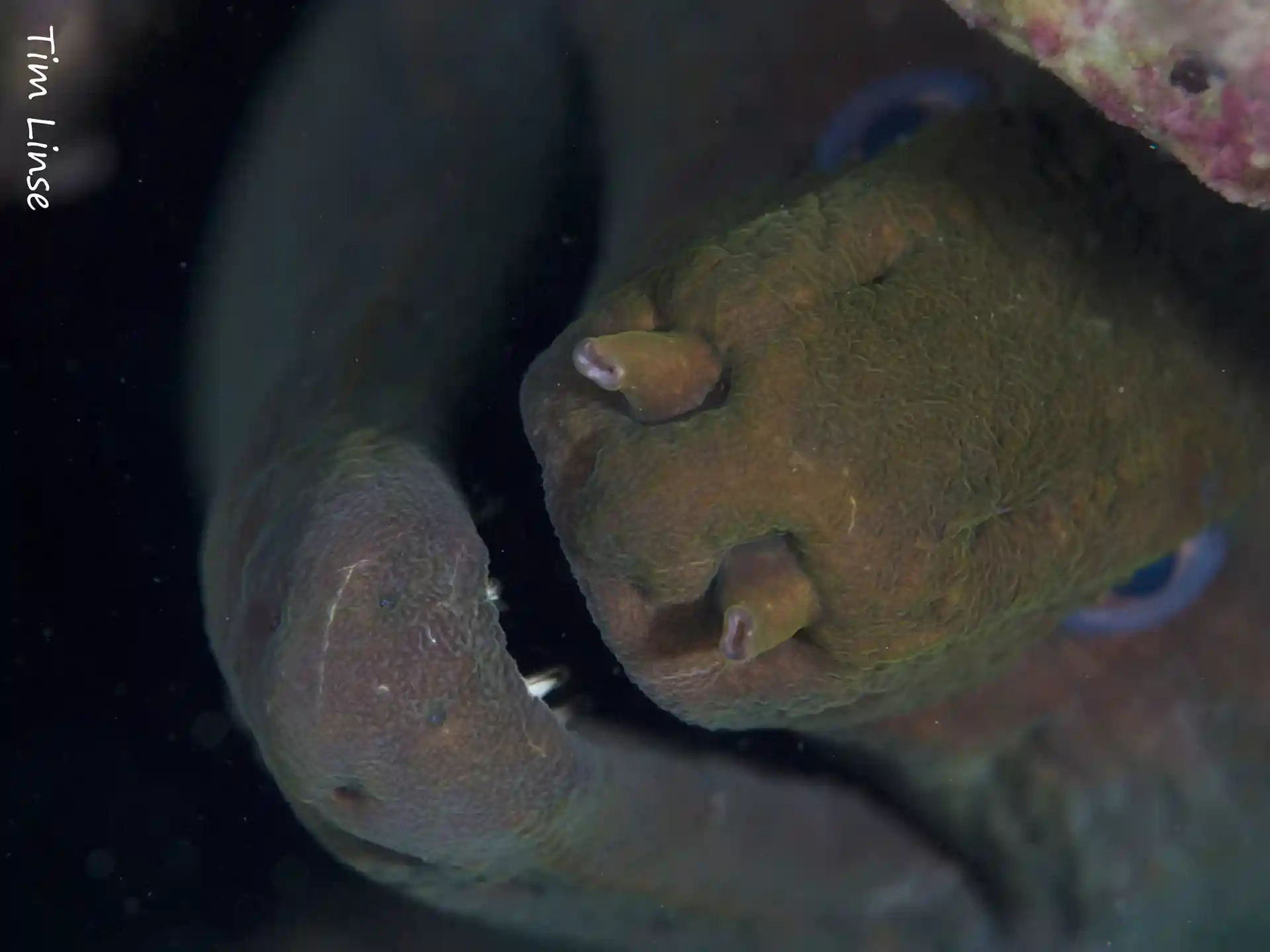 Dive shop photo