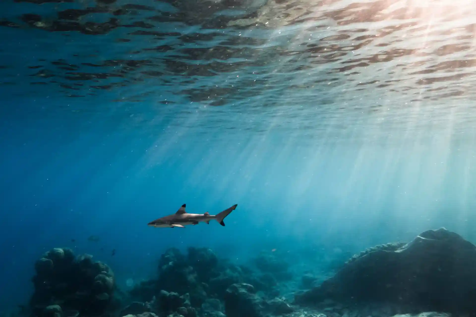 Dive site photo