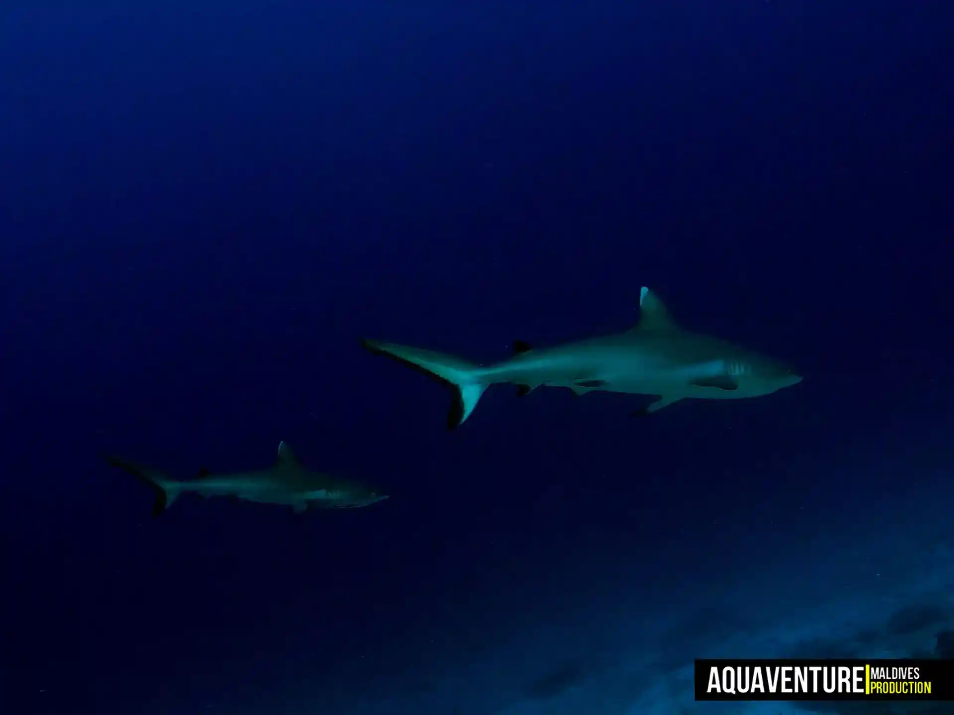 Foto del sitio de buceo