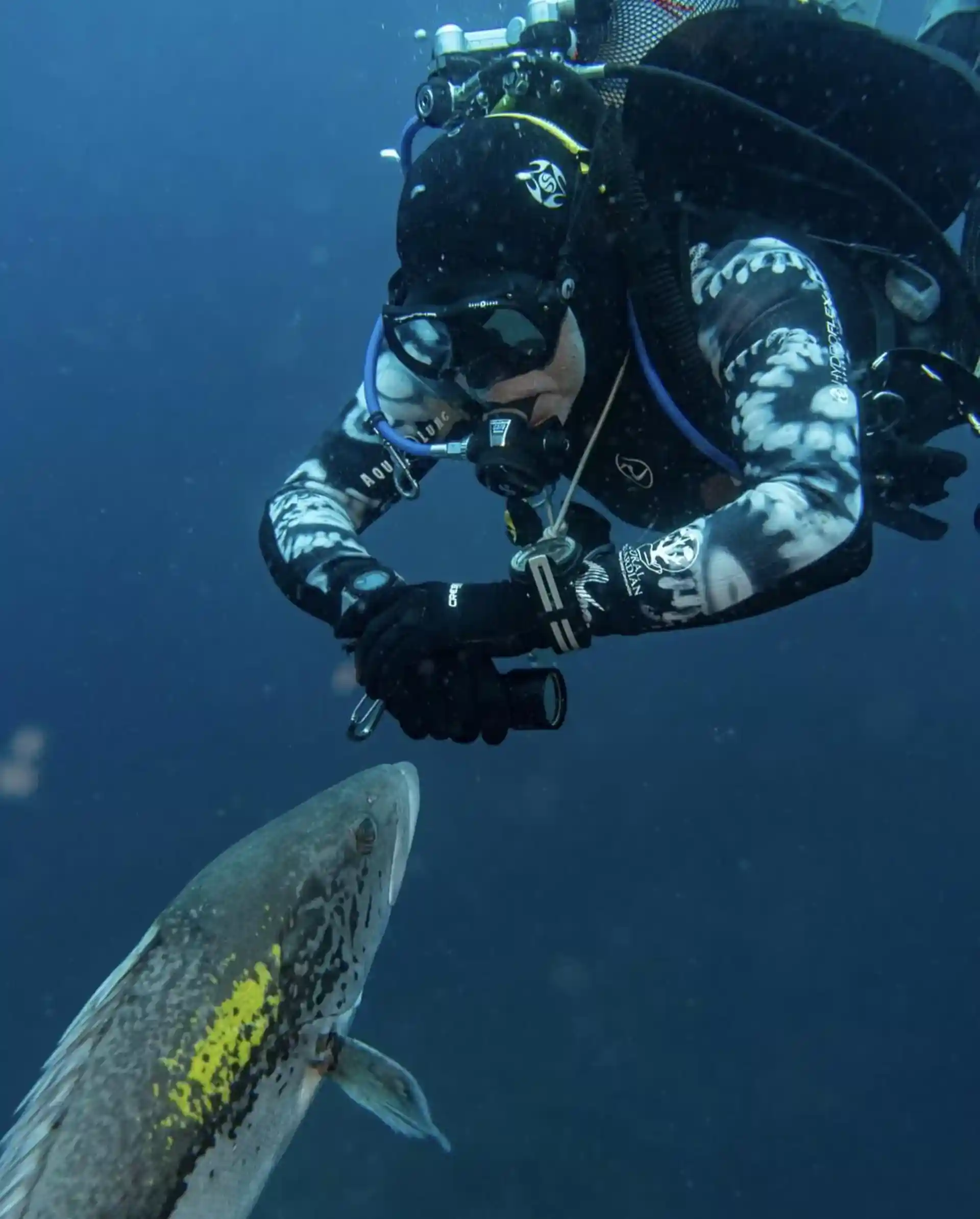 Foto del sitio de buceo
