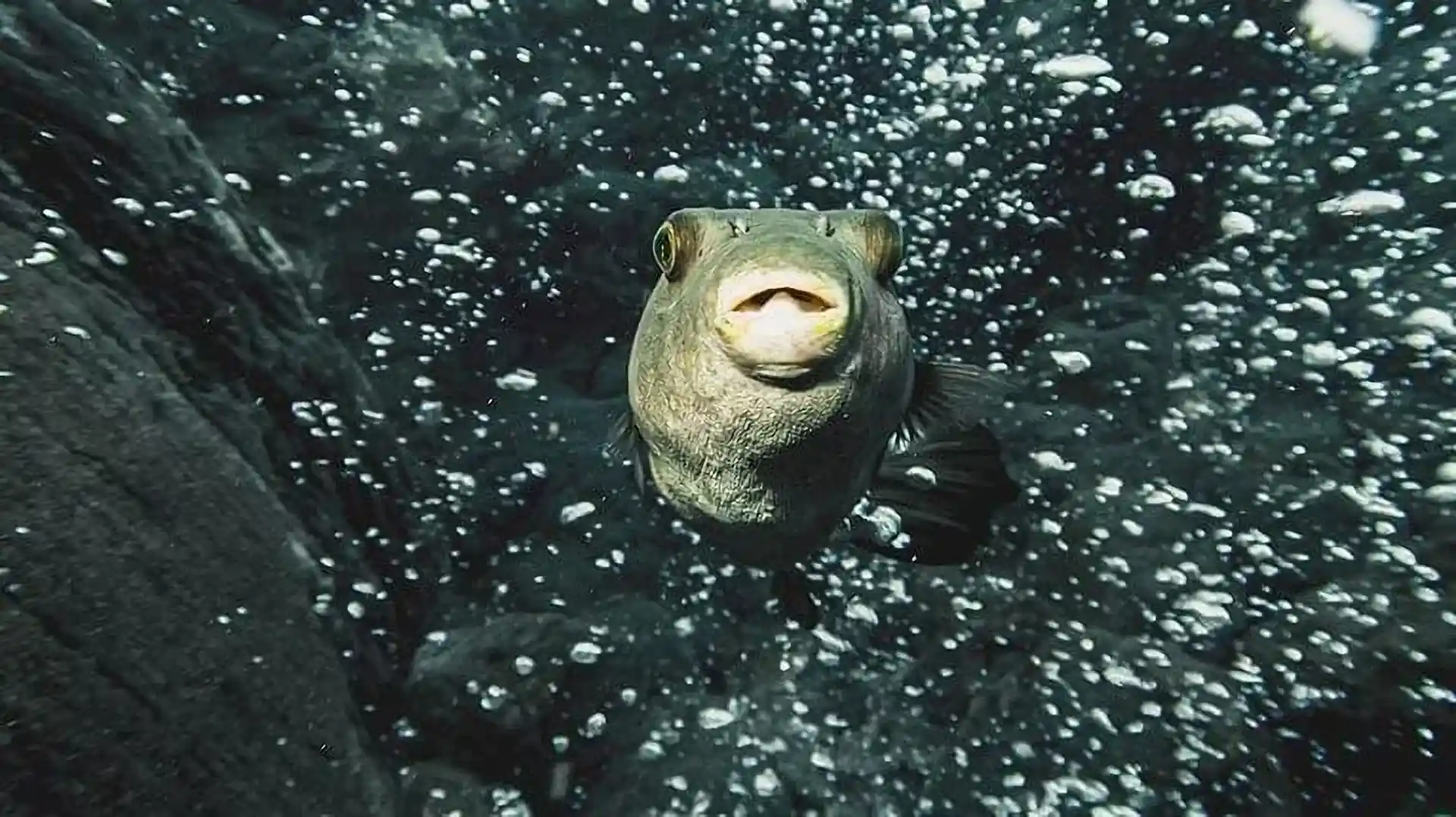Dive site photo