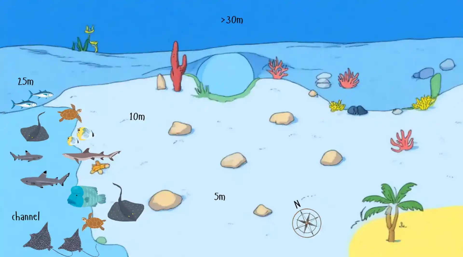 Dive site photo