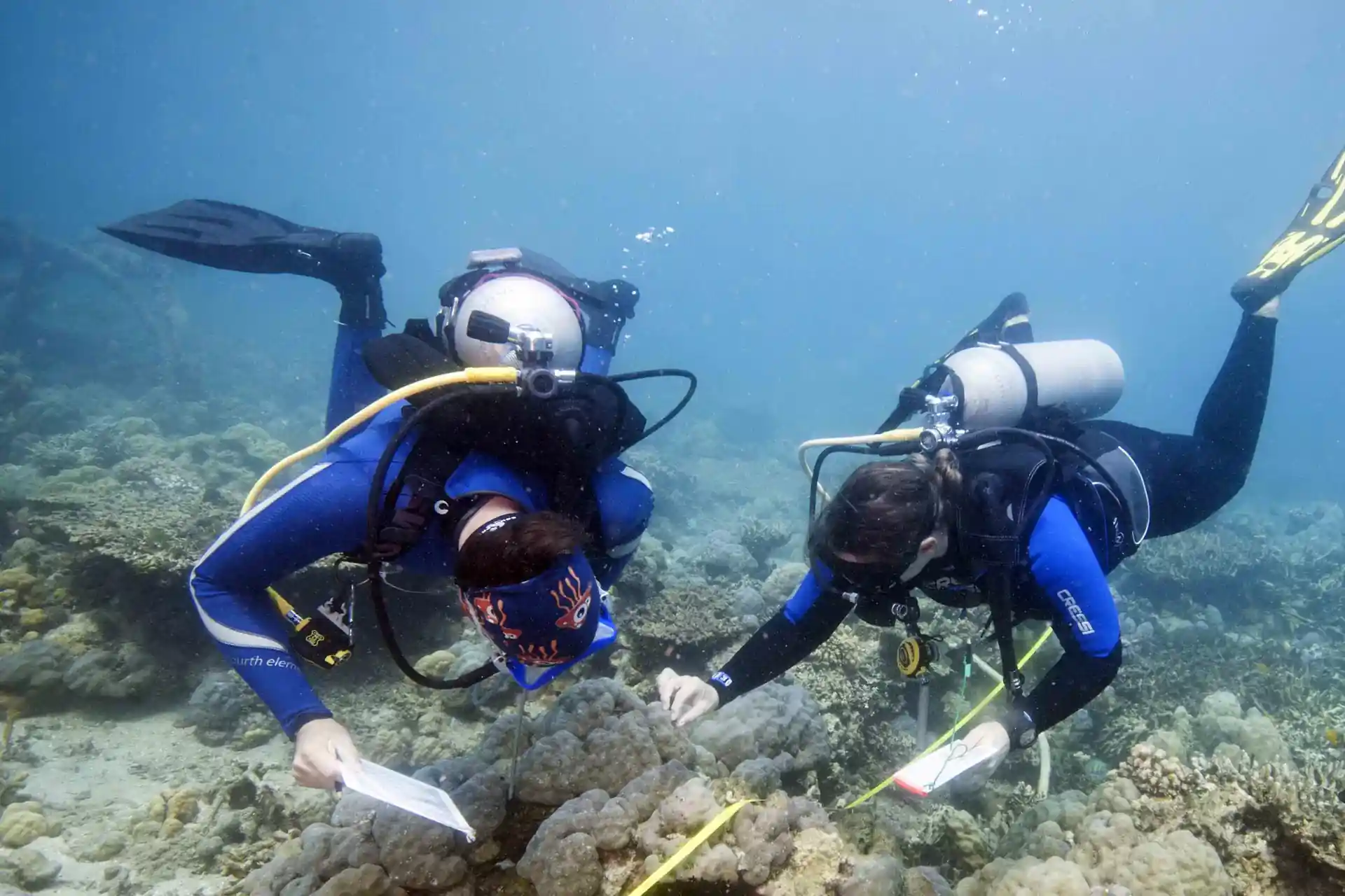 Photo de l'activité