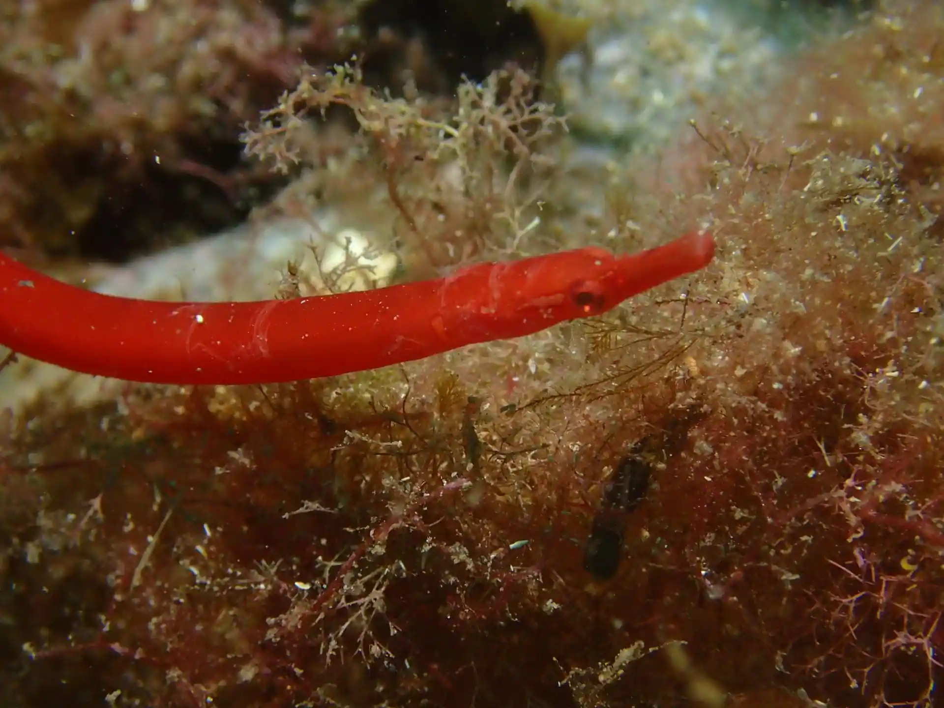 다이빙 포인트 사진