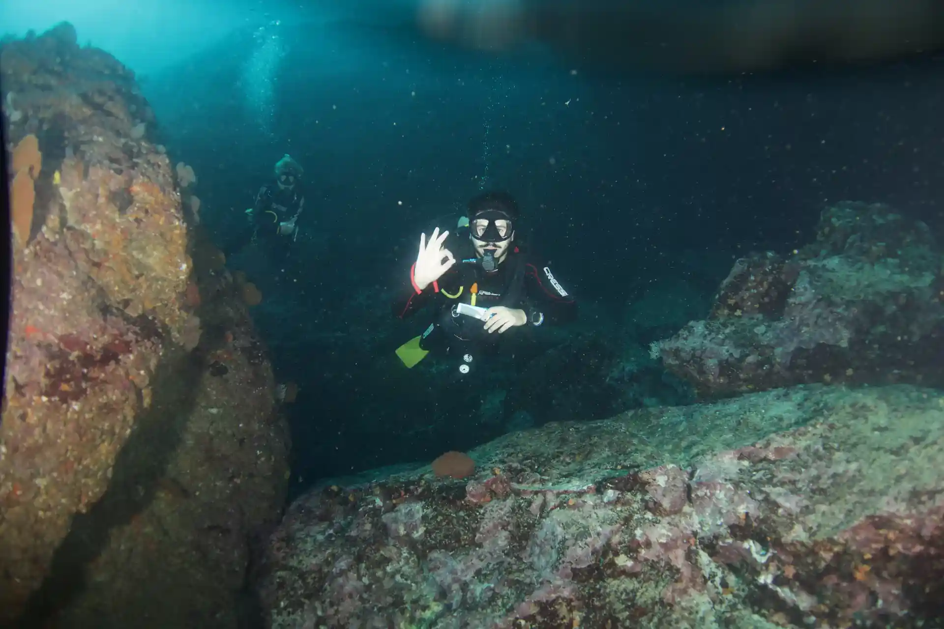 Experience the thrill of an amazing  dive site!