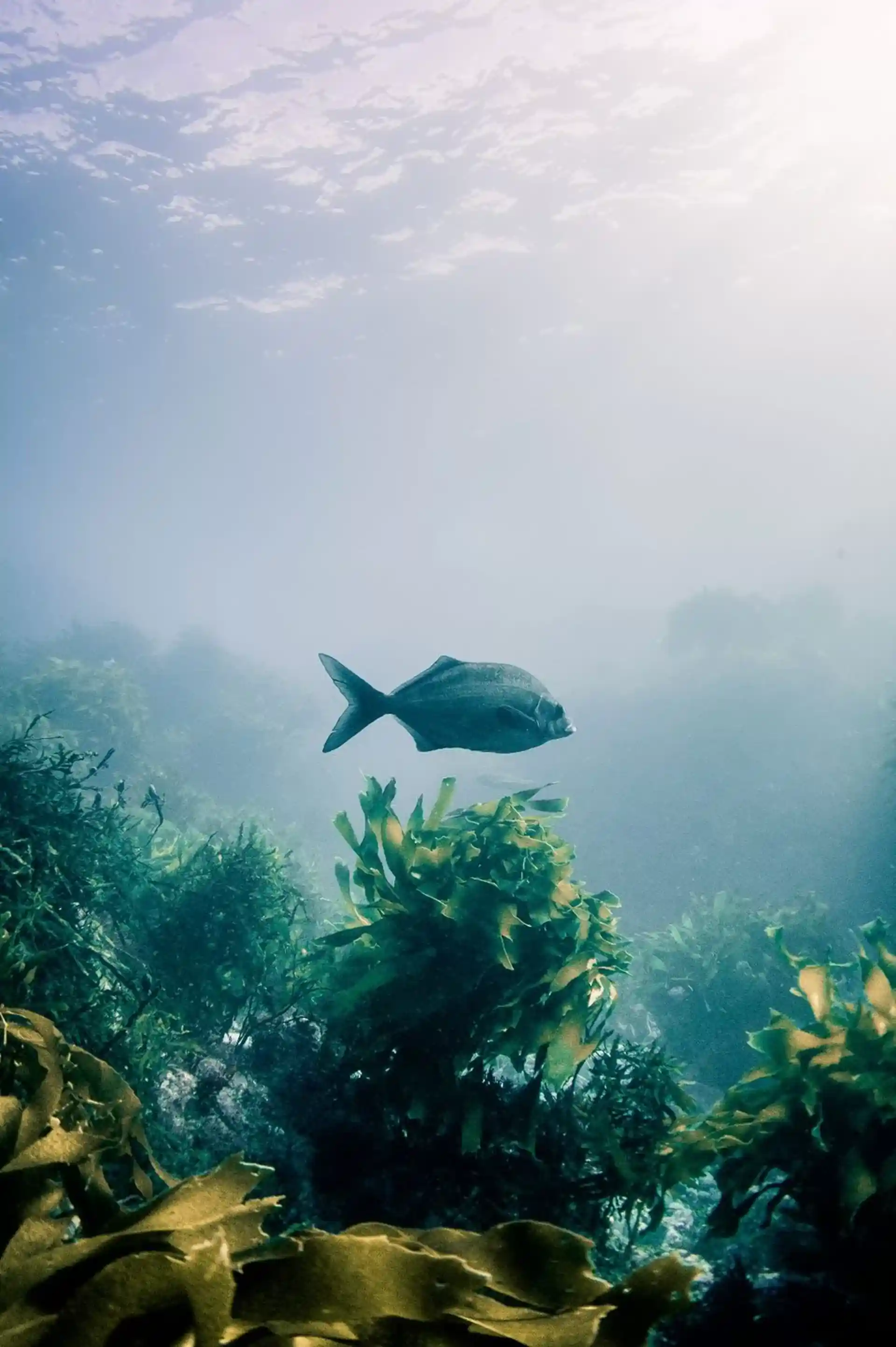 Dive shop photo