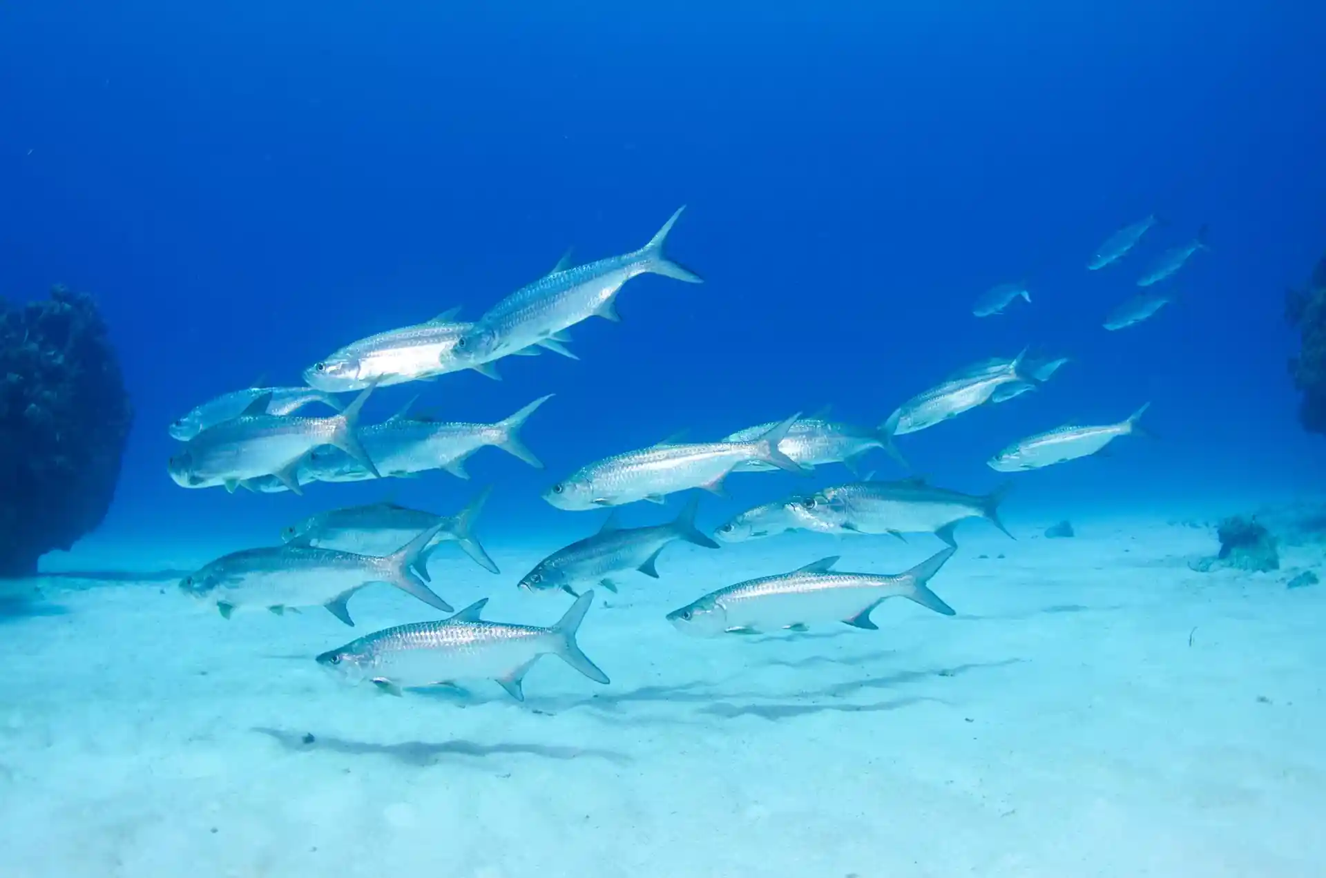 Dive site photo
