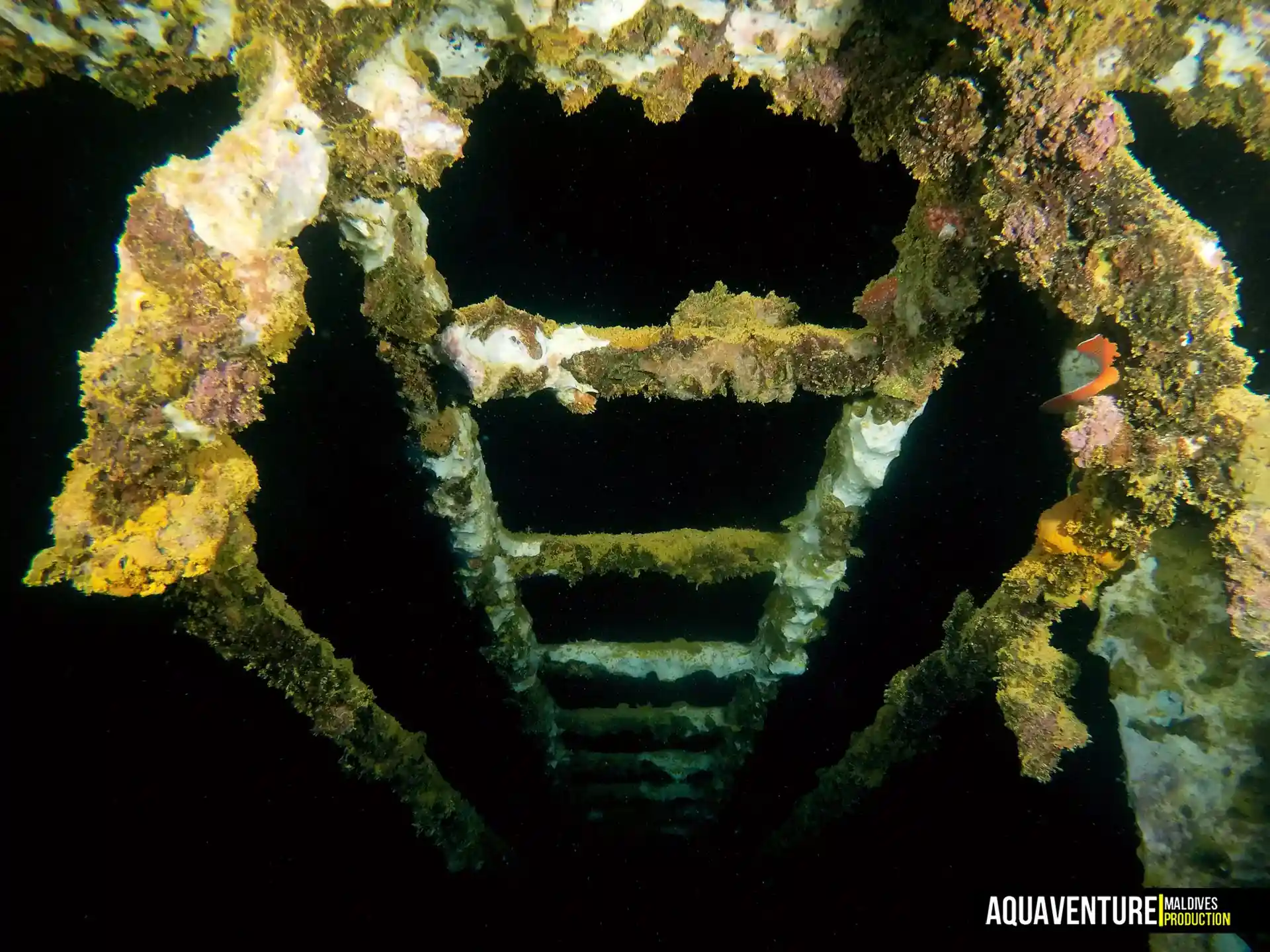 Foto del sitio de buceo