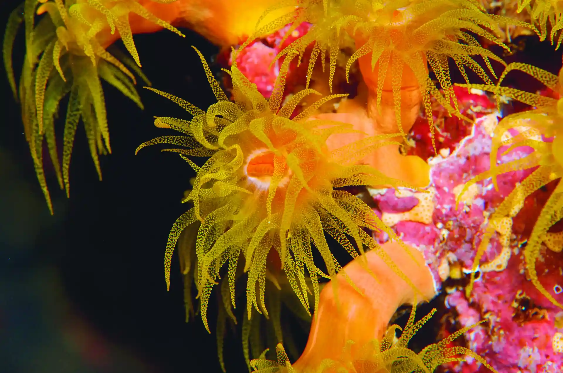 다이빙 포인트 사진