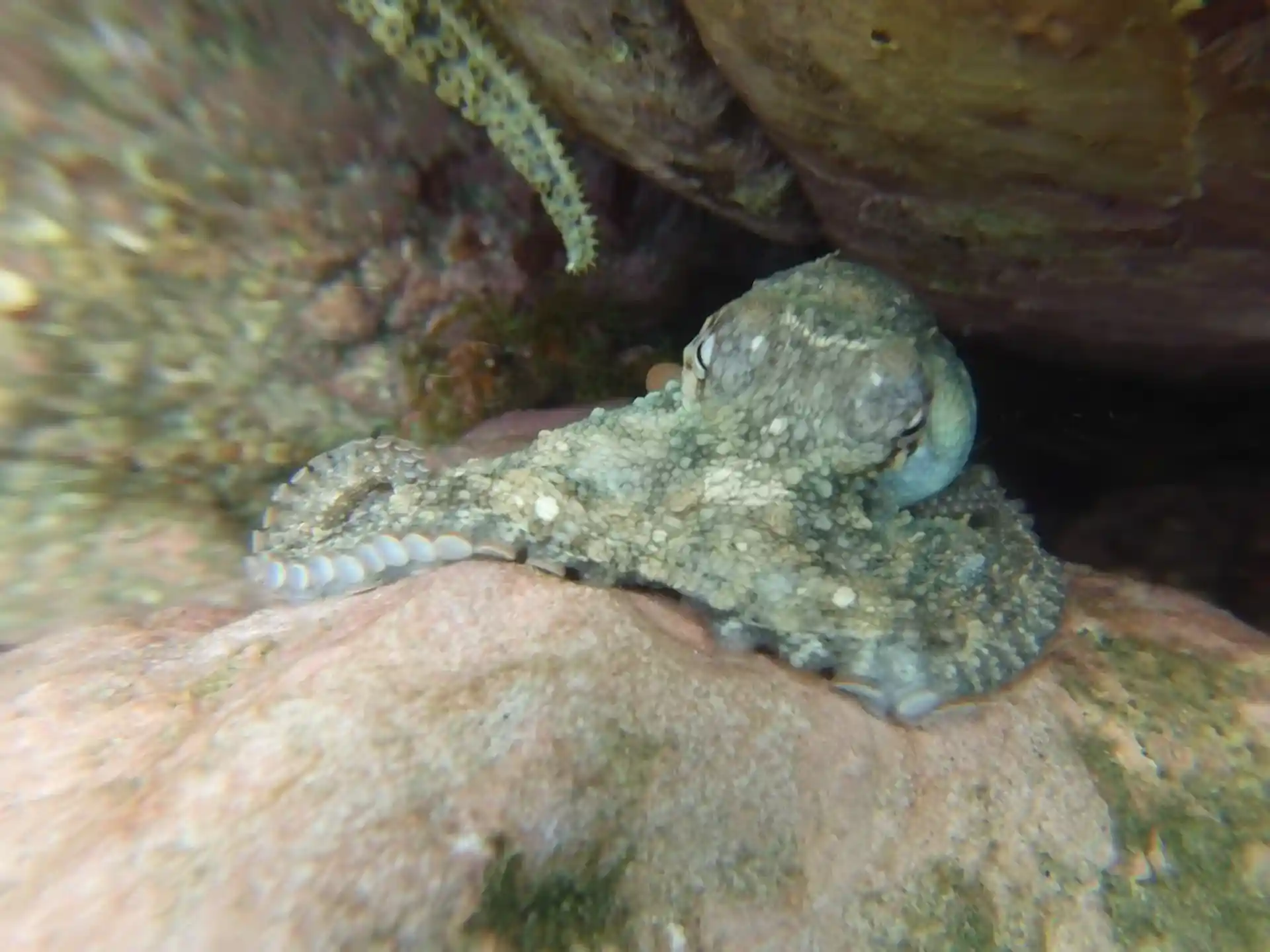 Foto del sitio de buceo