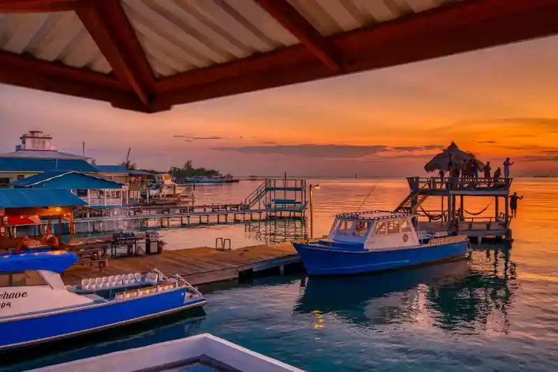 Dive operator picture