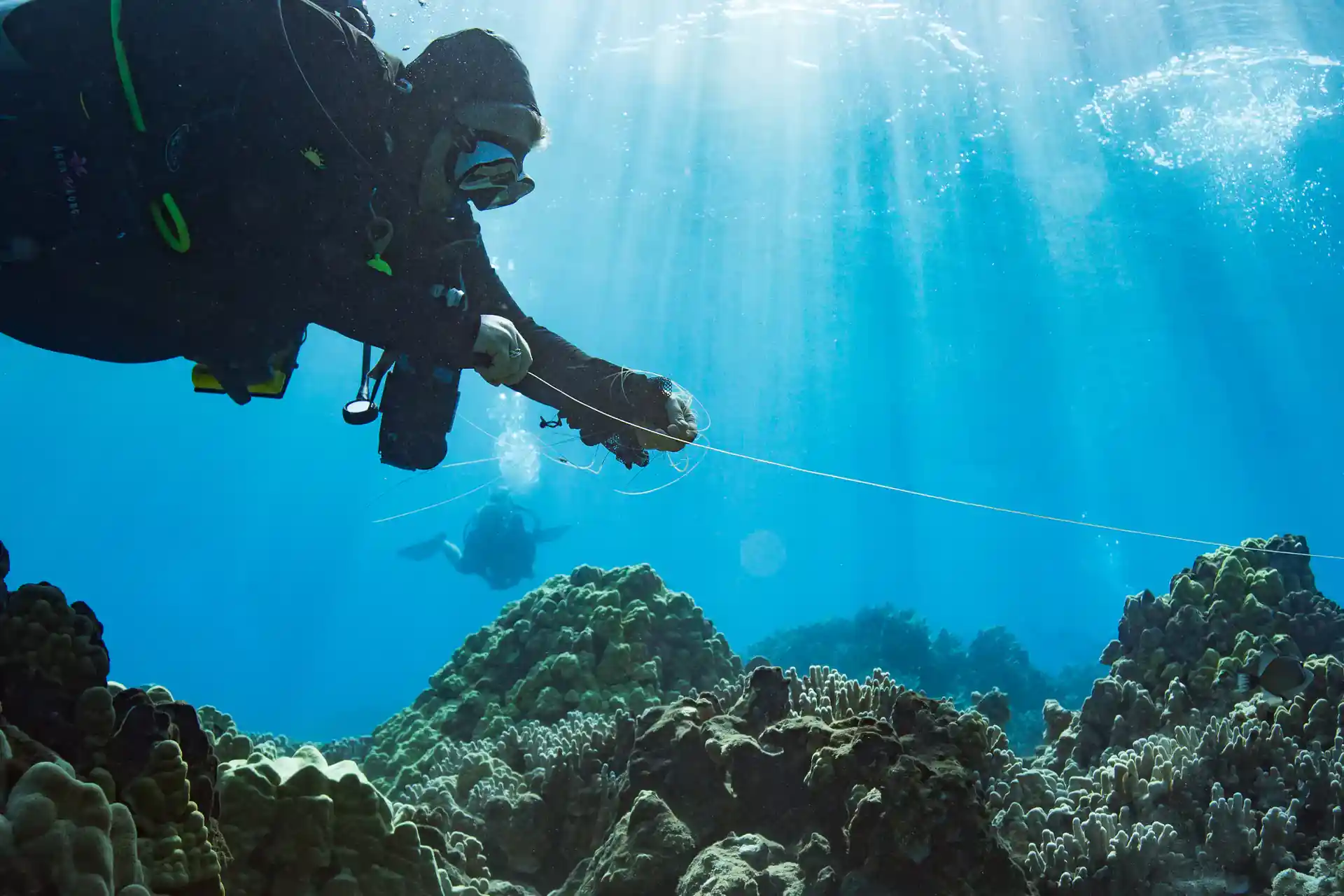 Discarded fishing line tangles and allows algae to grow atop and strangle out the corals.