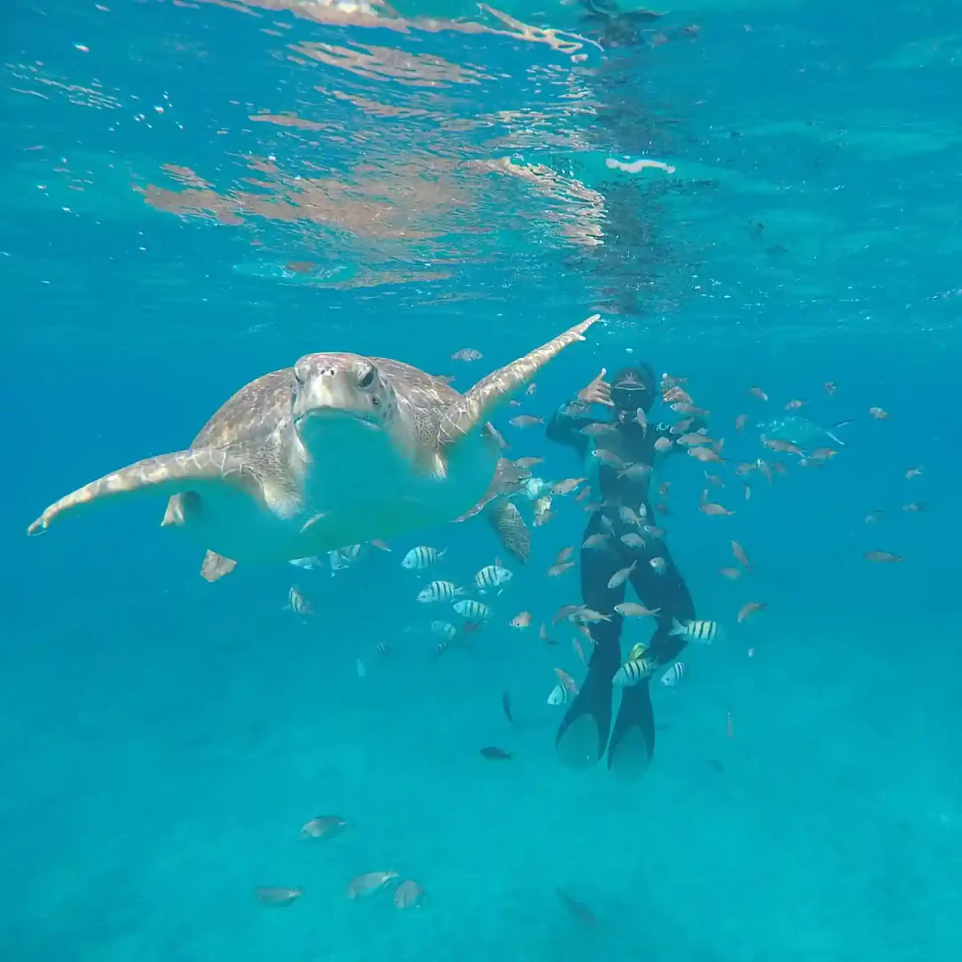 Aktivitätsfoto
