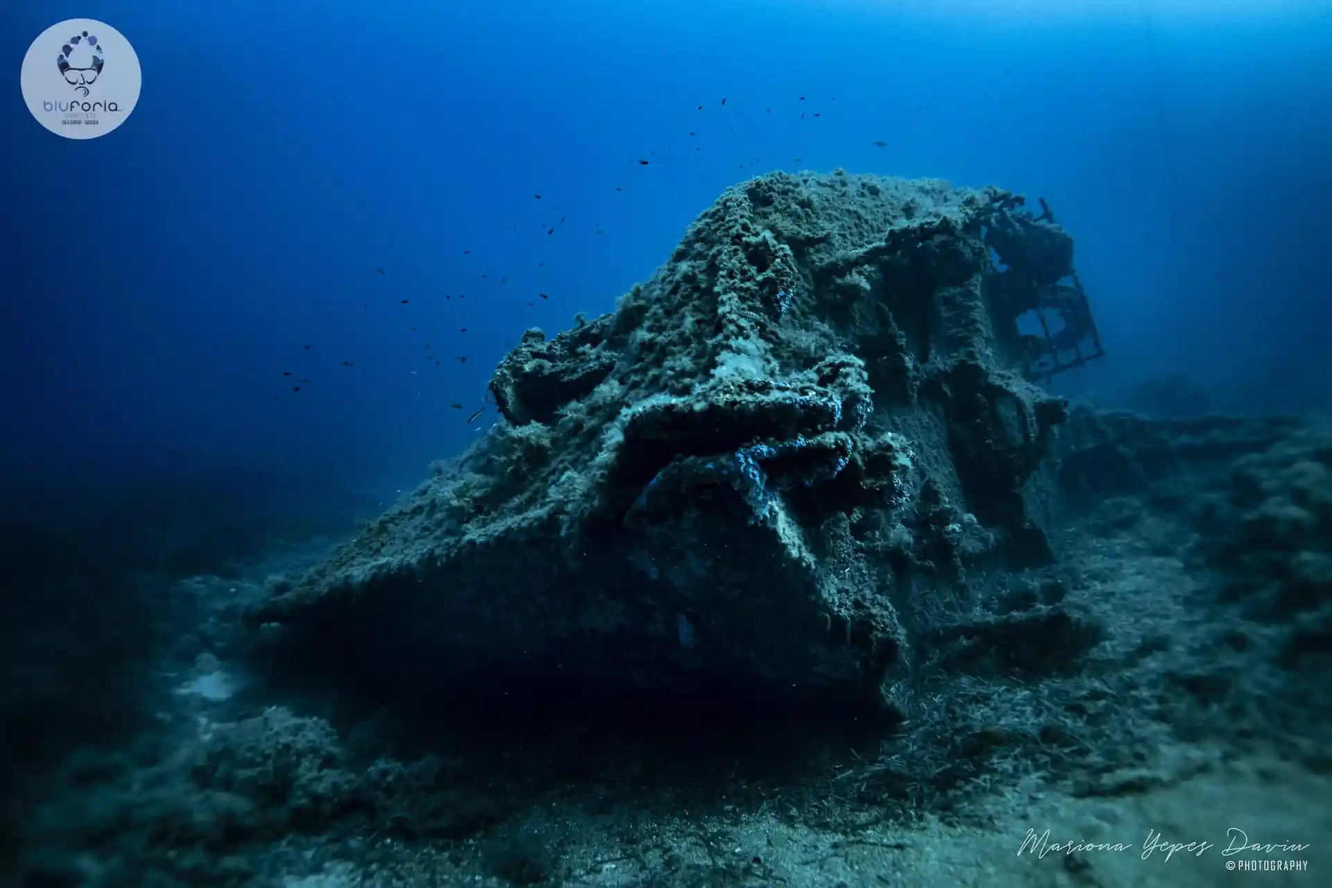 Dive site photo