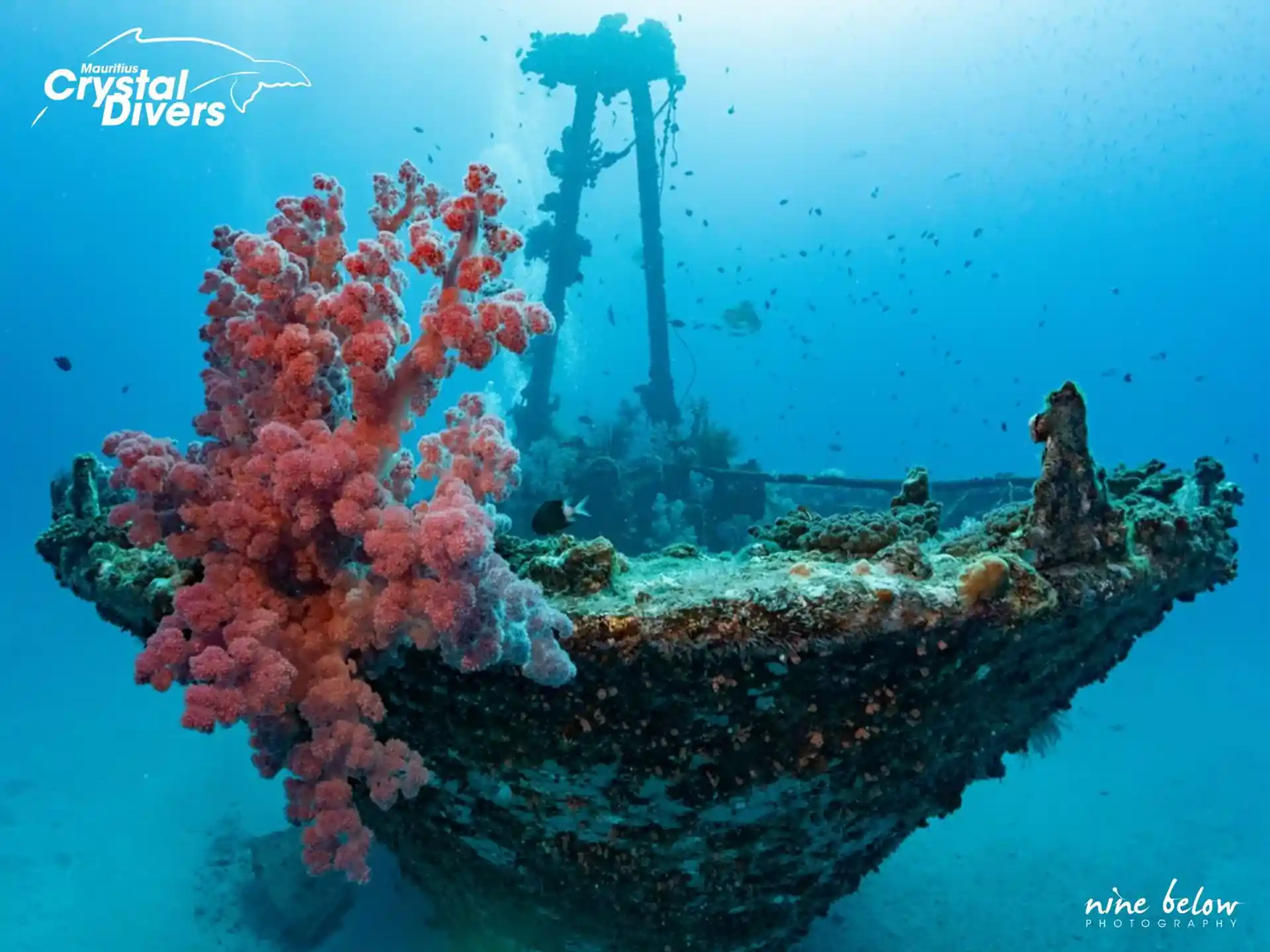 Dive site photo