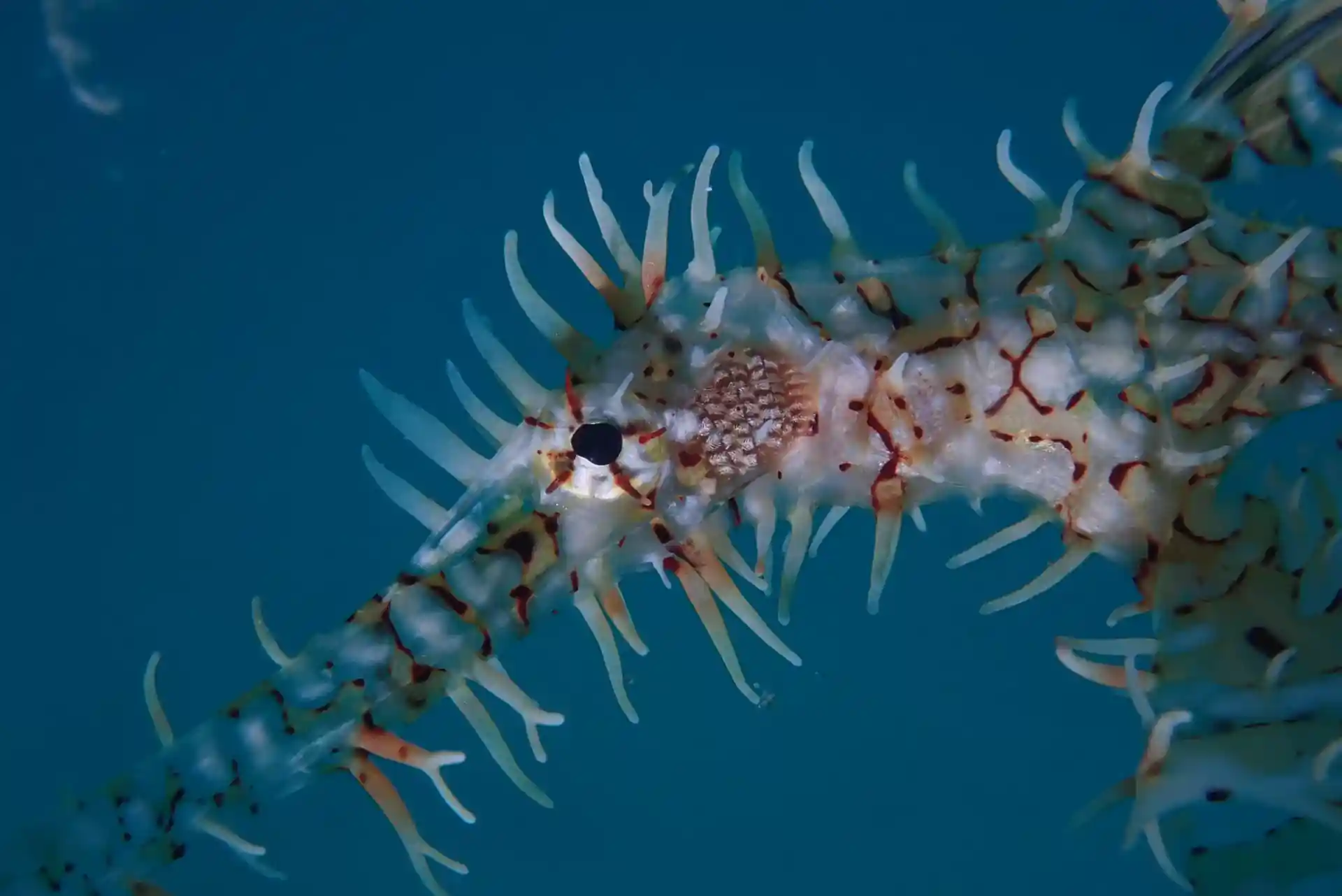 Dive site photo