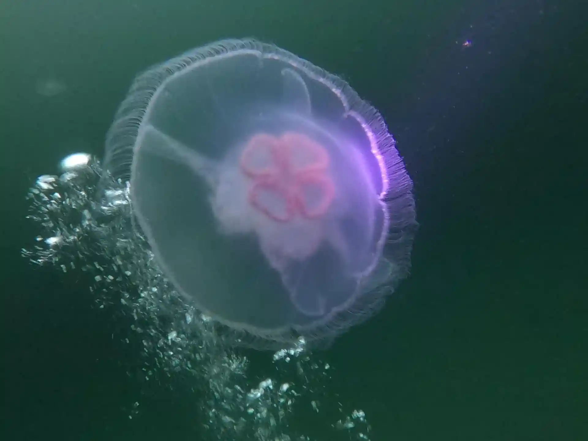潜水点图片