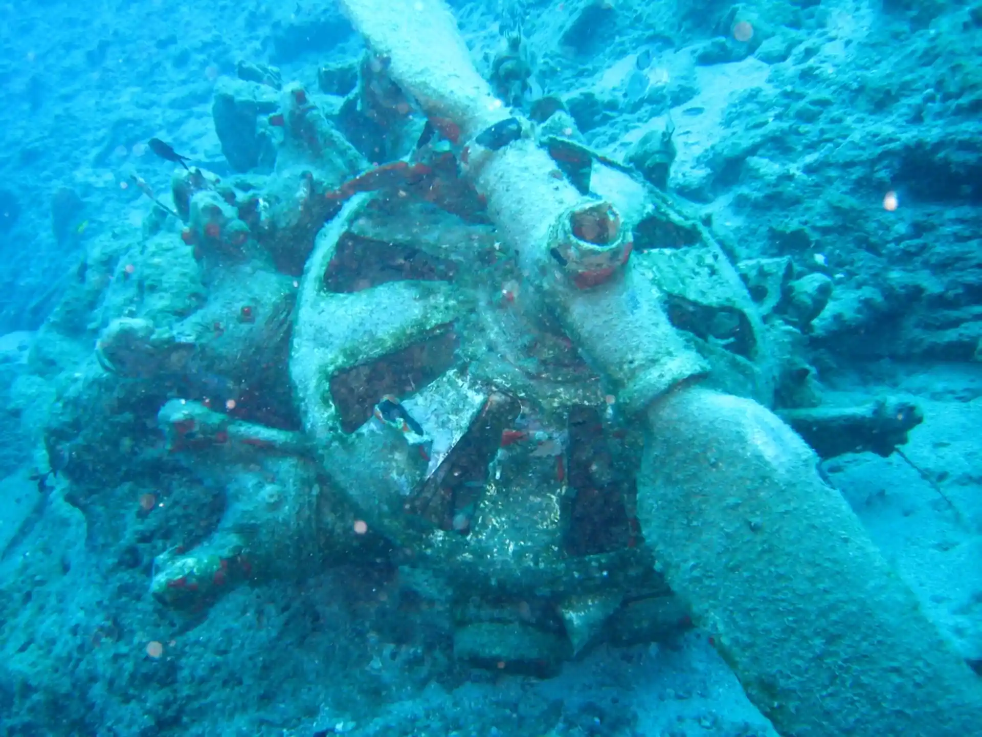 ダイビングサイトの写真