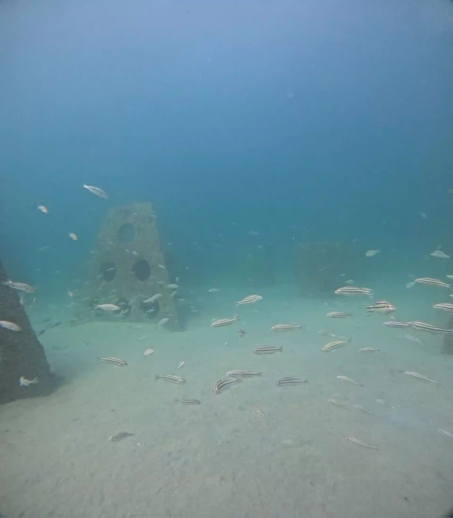 Dive site photo