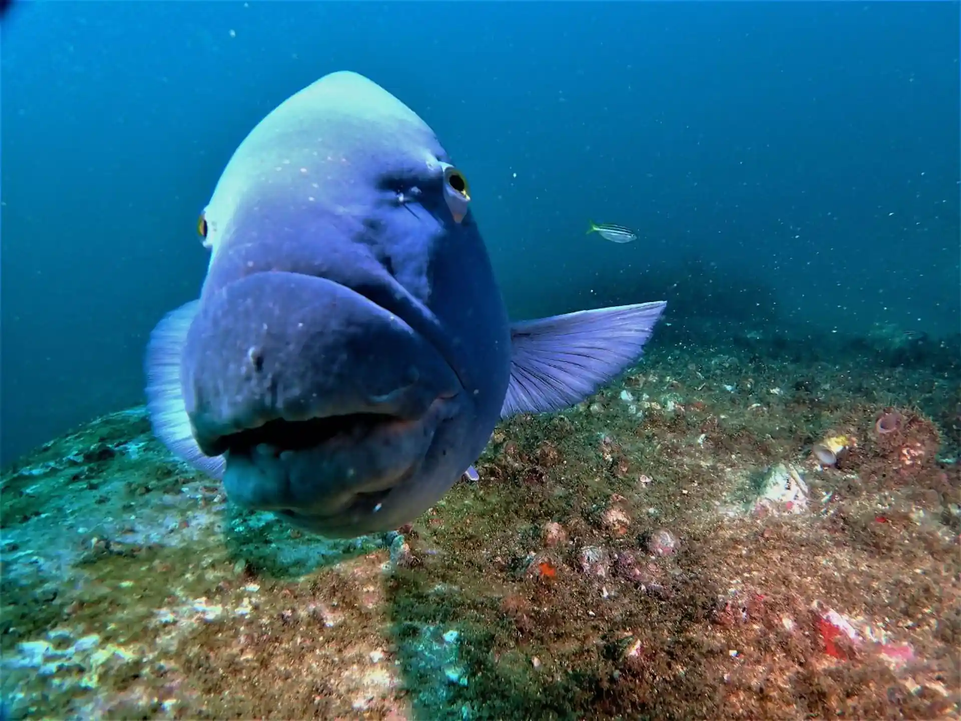 Dive site photo