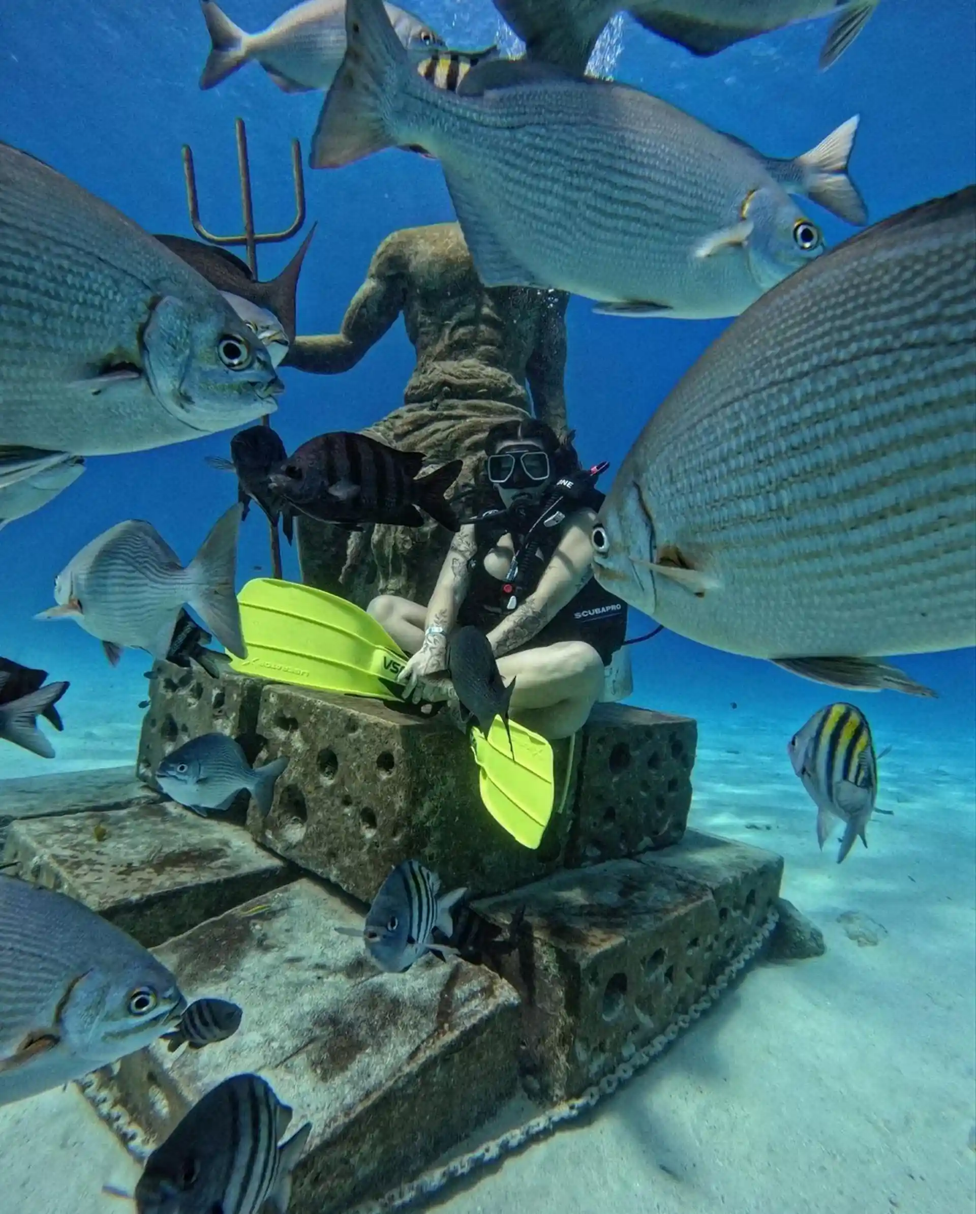 Dive site photo