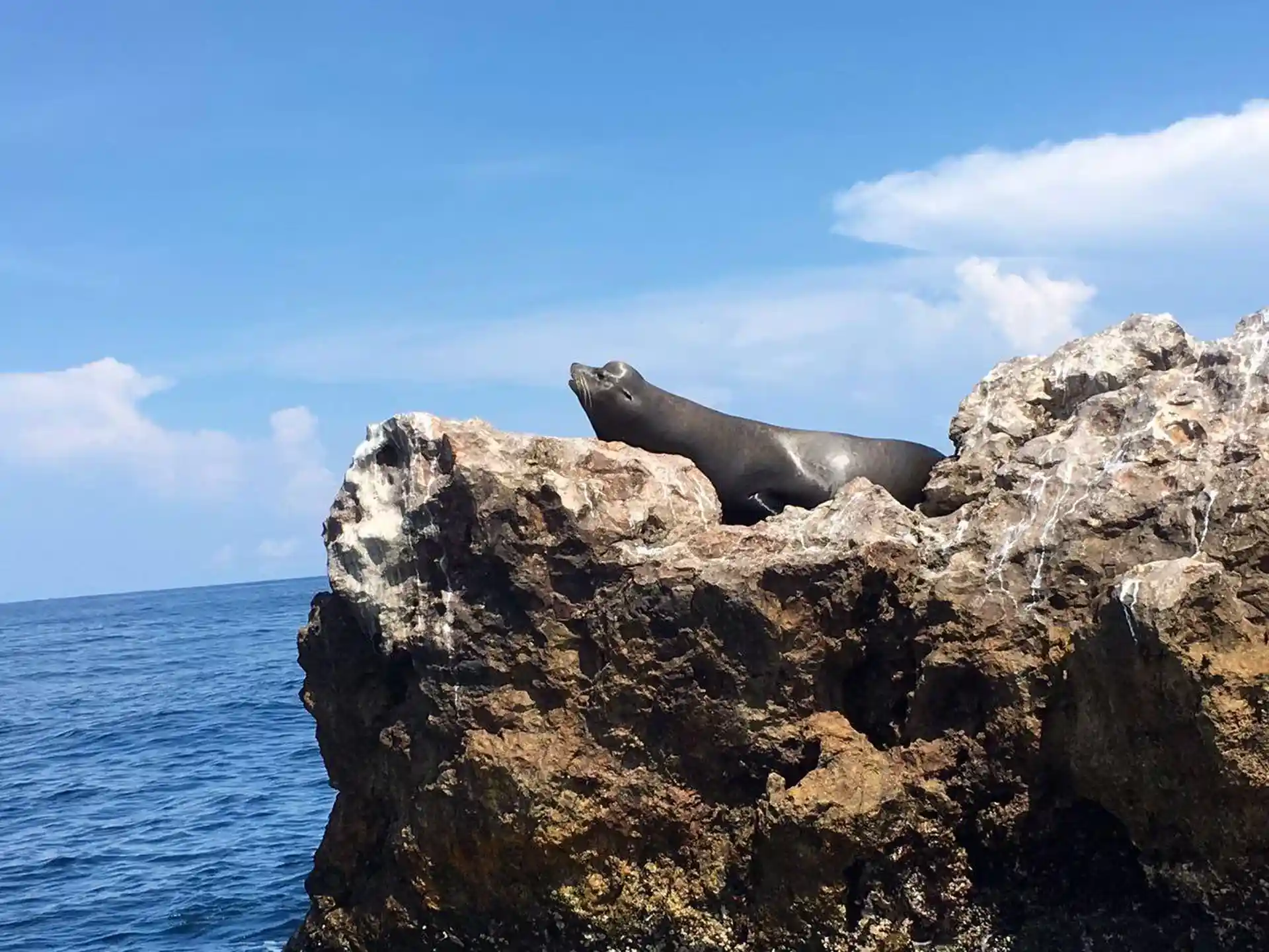 Foto de la actividad