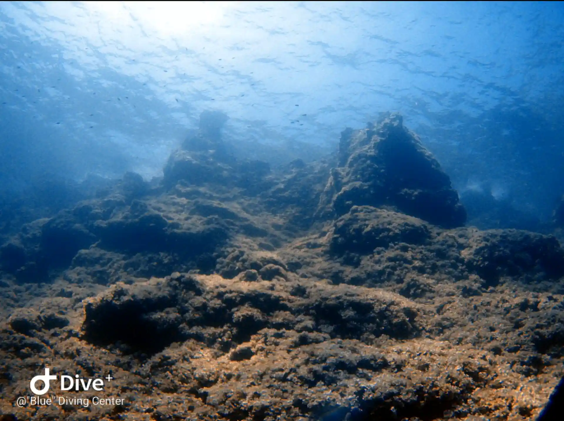 Dive site photo