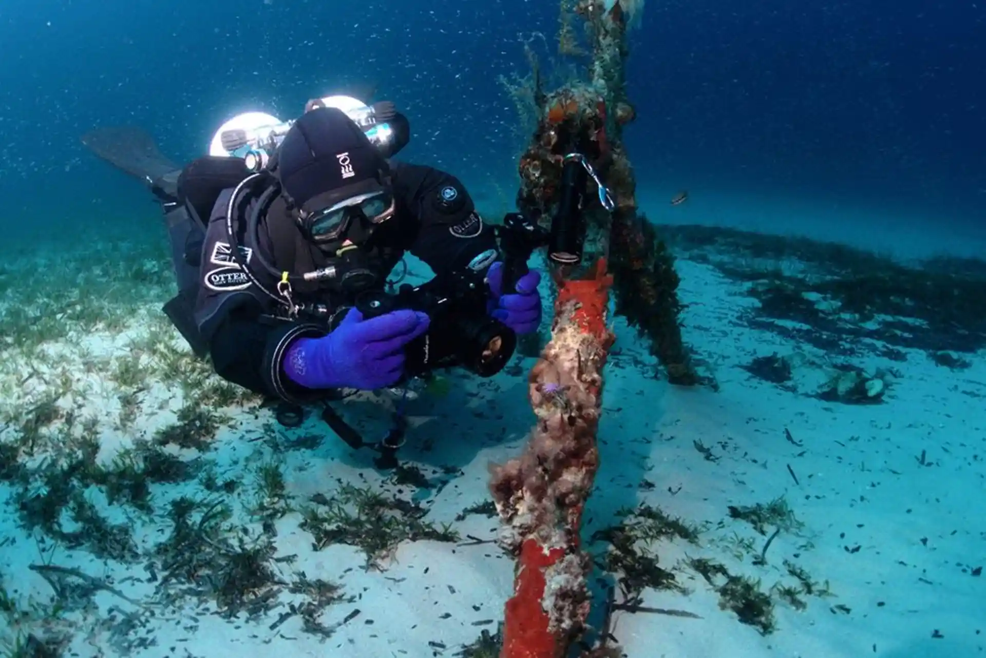 Tech diver photographing nudibranchs