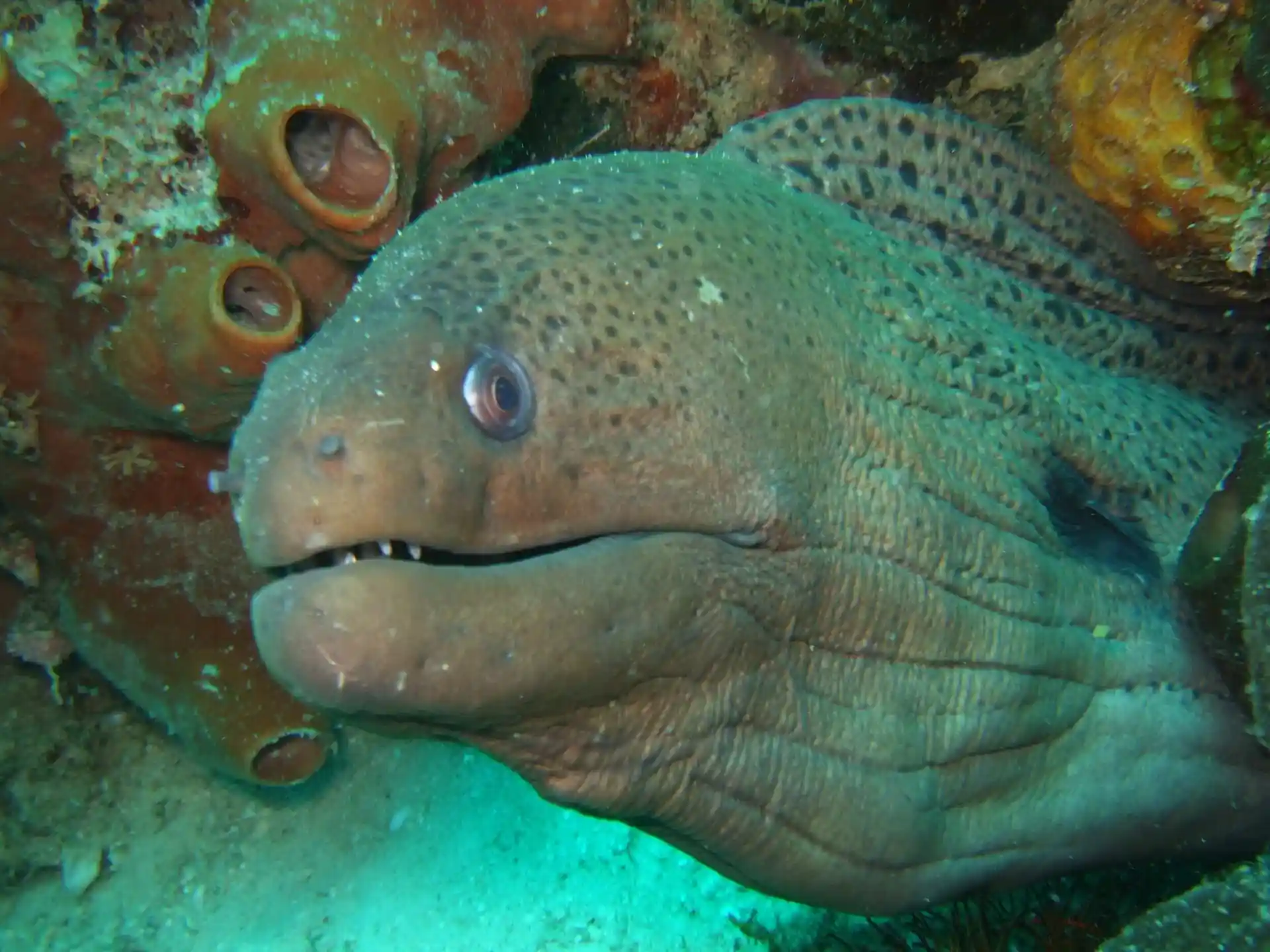 Dive site photo