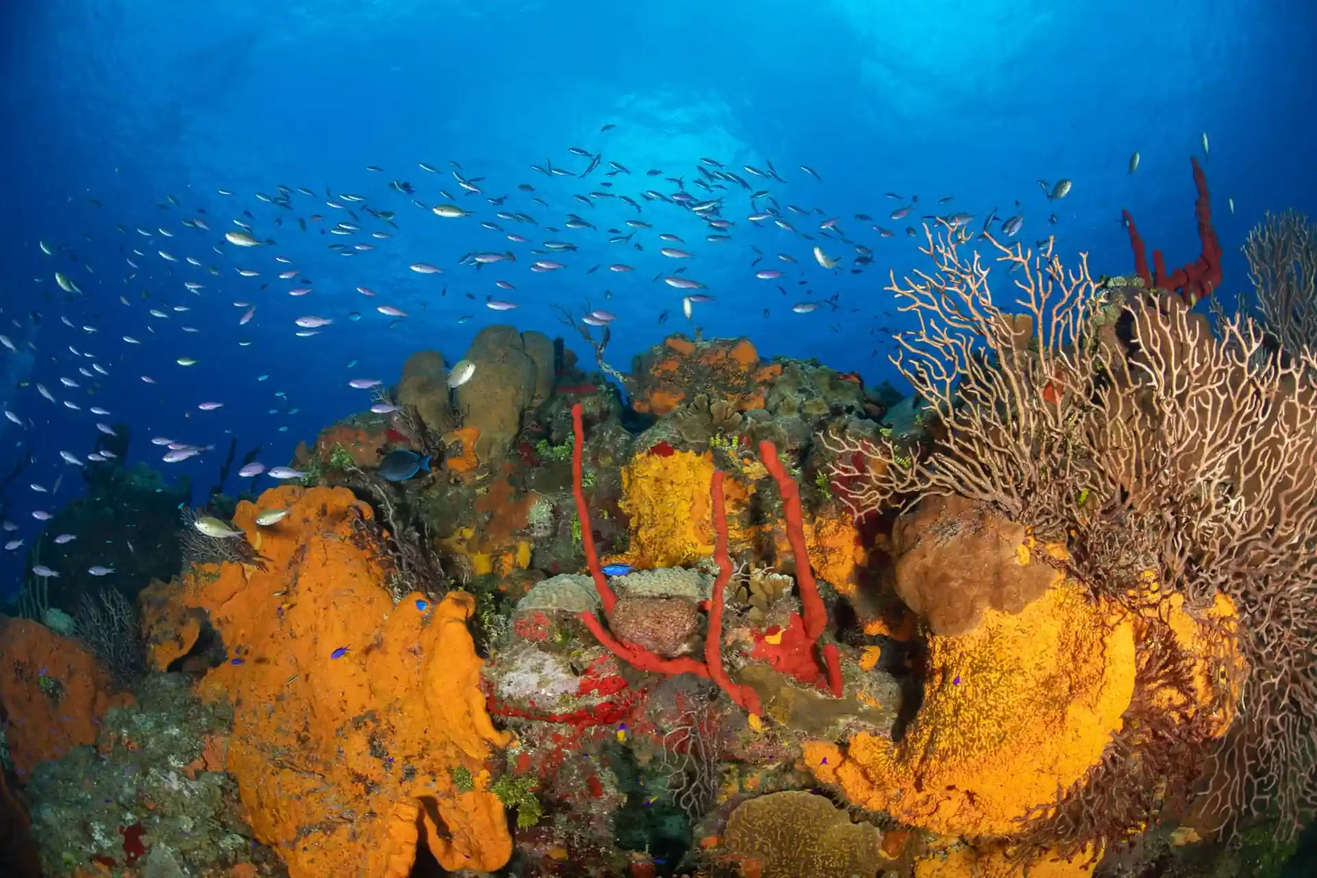 ダイビングショップの写真