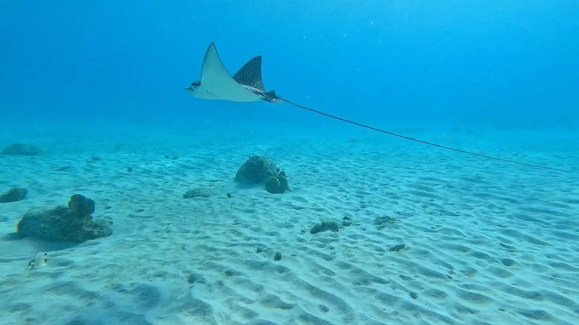 다이빙 포인트 사진