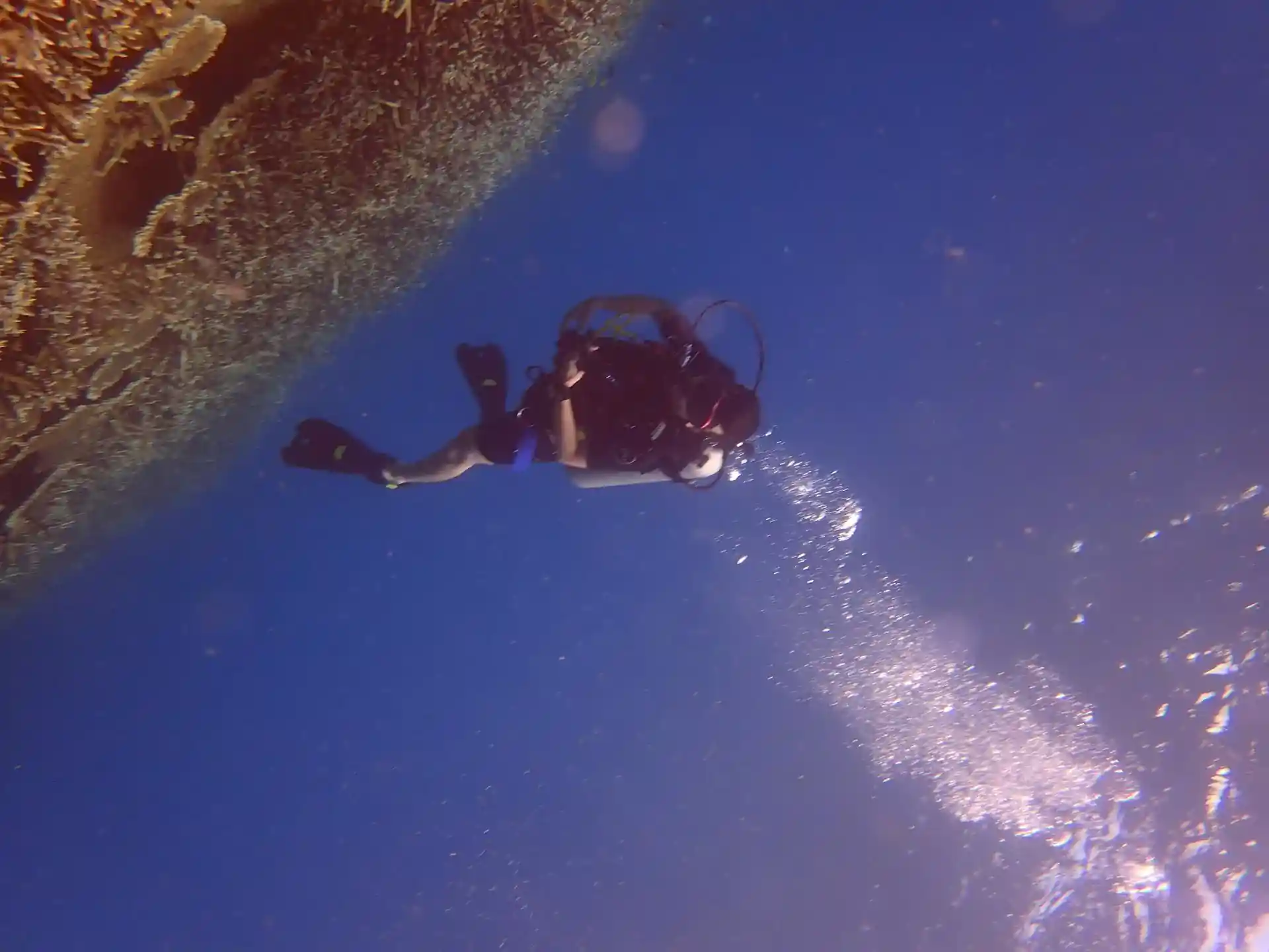 Foto de la tienda de buceo