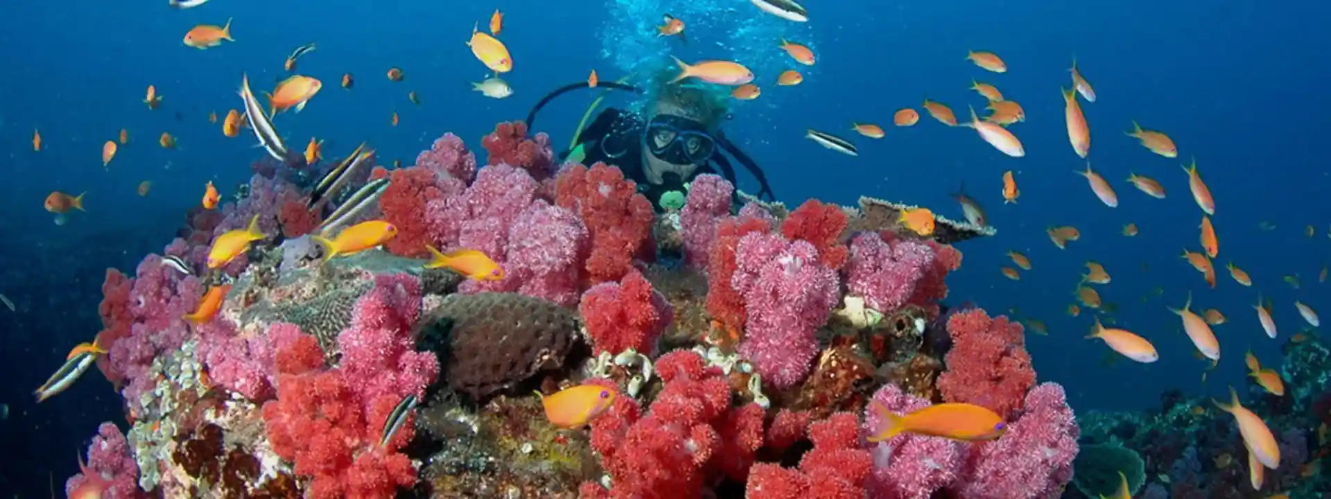 Dive site photo