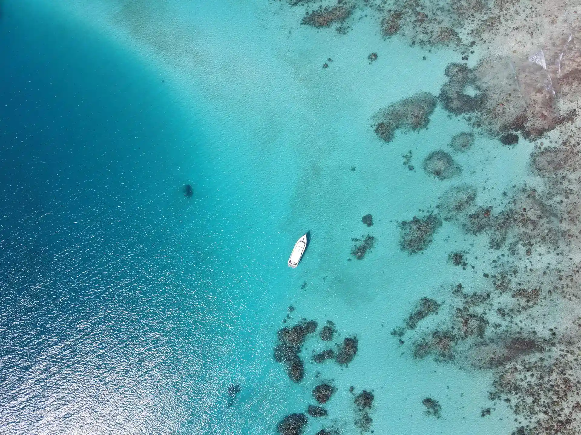 Dive shop photo