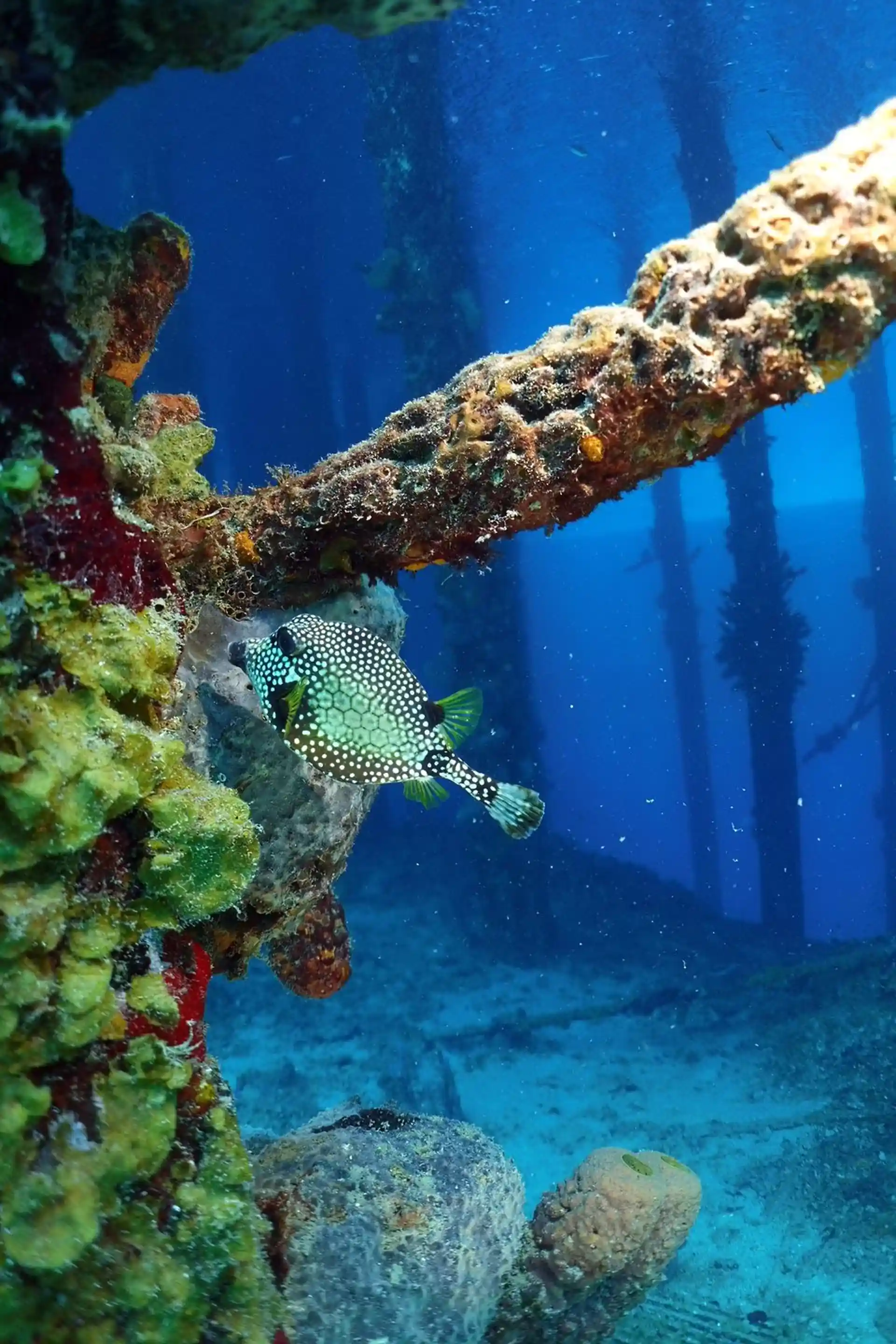 Dive site photo