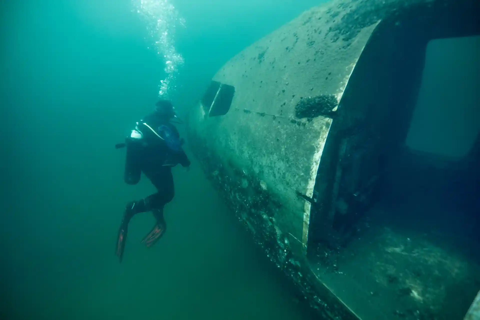 Photo de l'activité