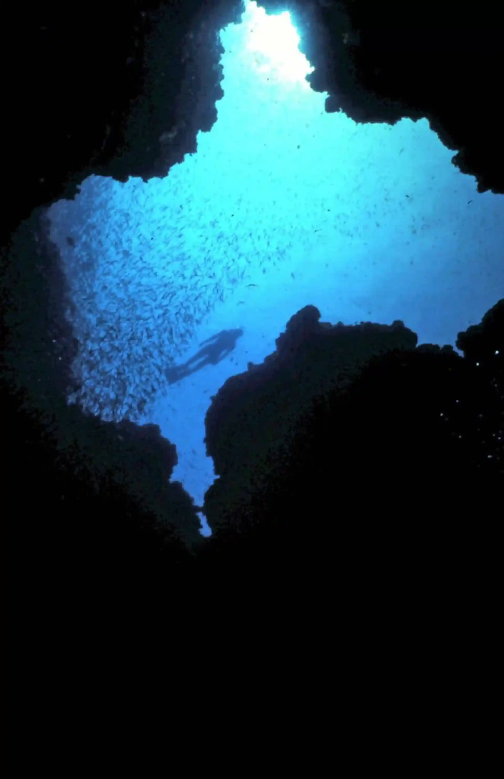 Dive site photo