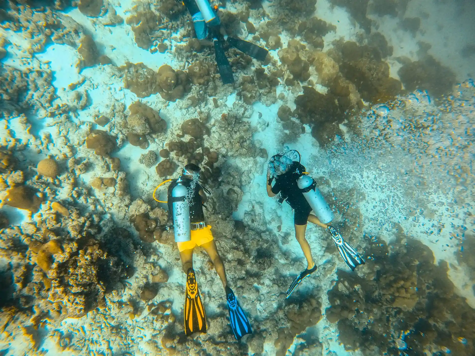 Dive site photo
