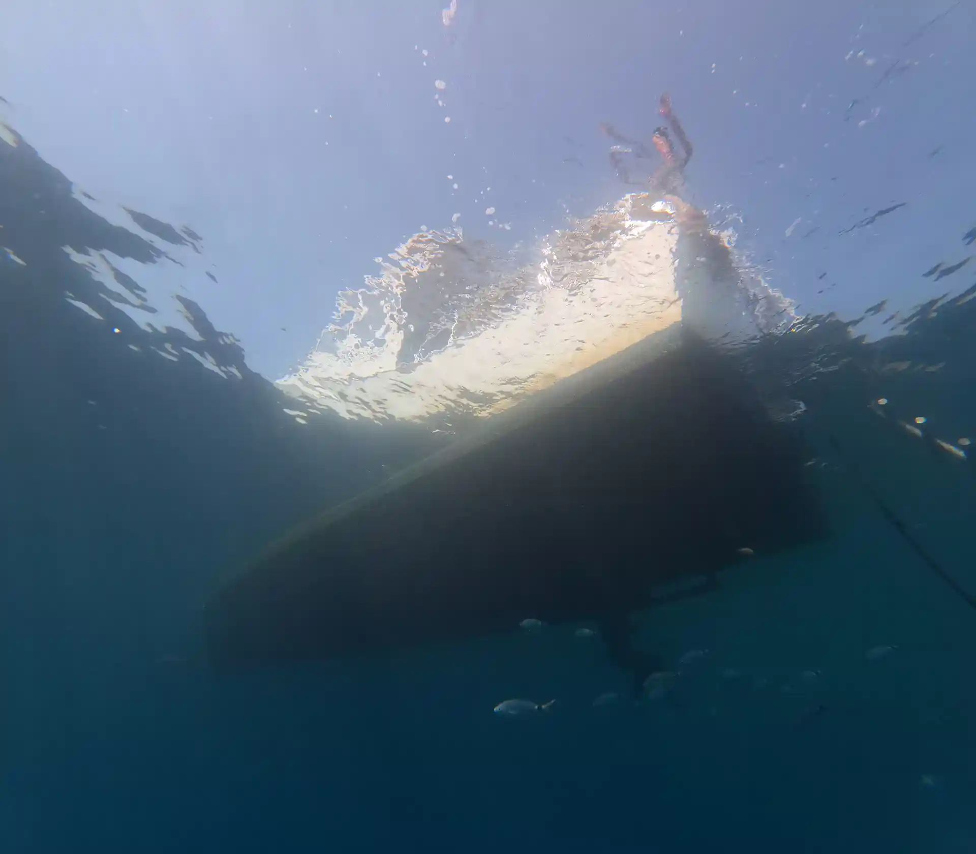 Photo du magasin de plongée