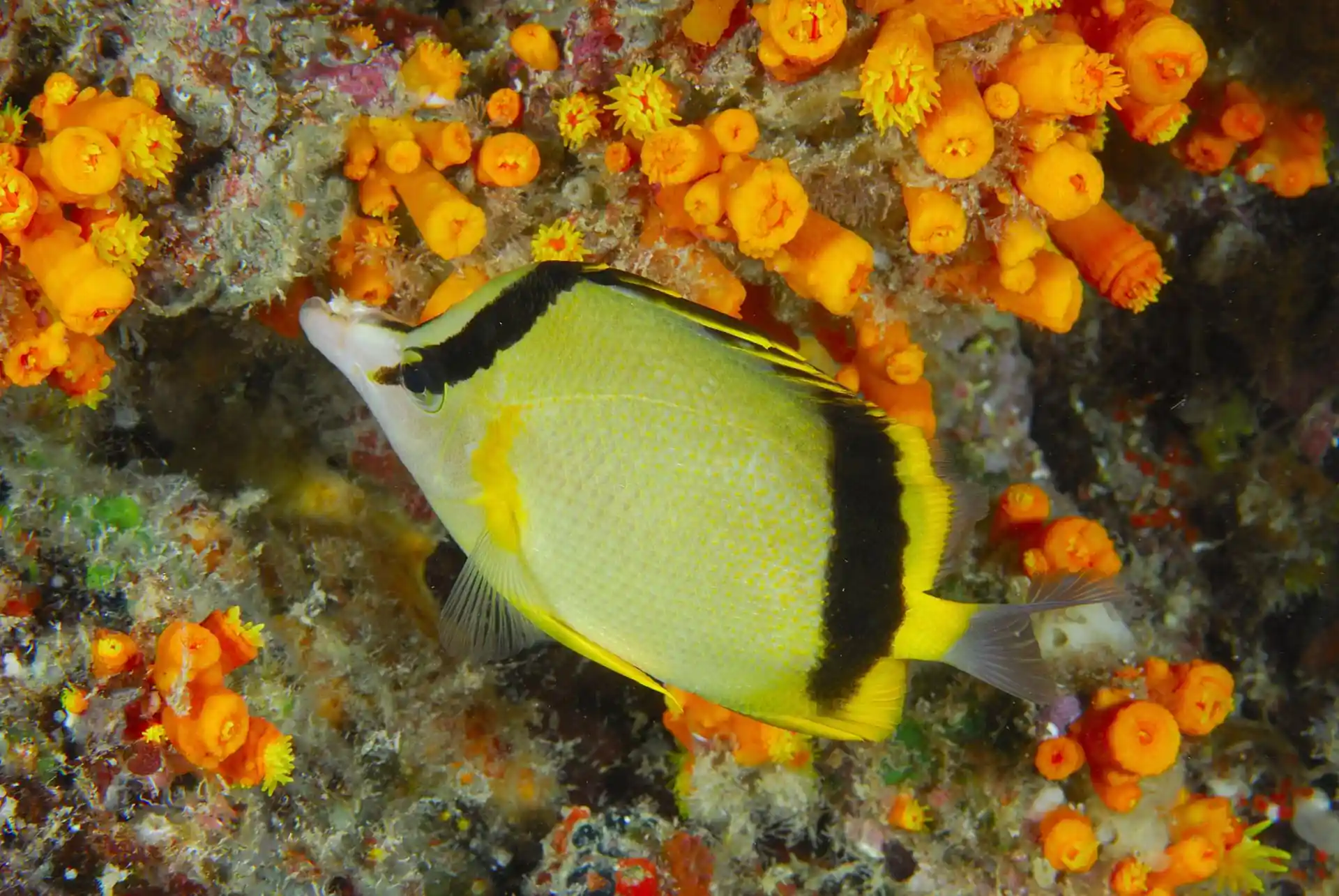 다이빙 포인트 사진