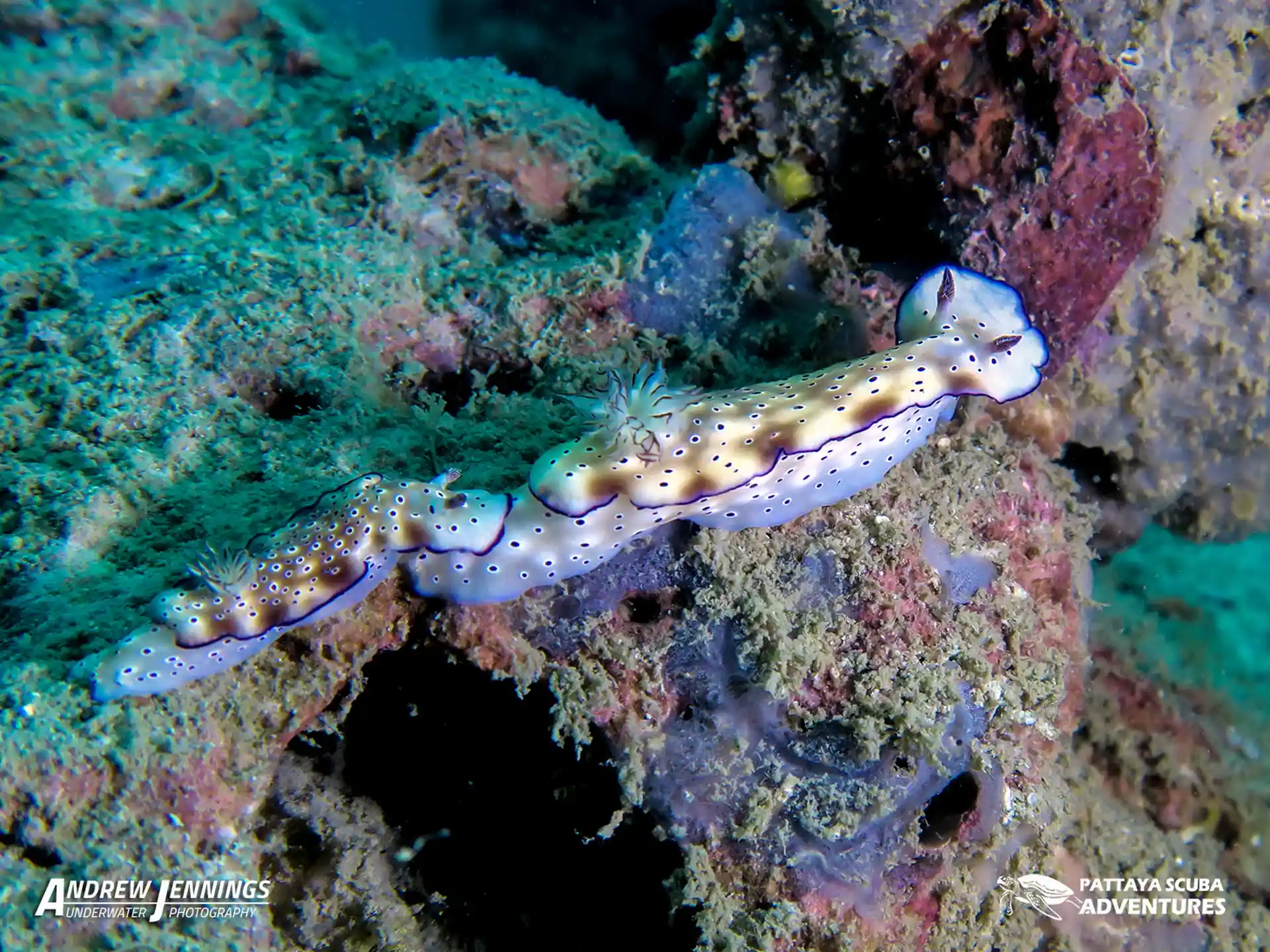 Dive site photo