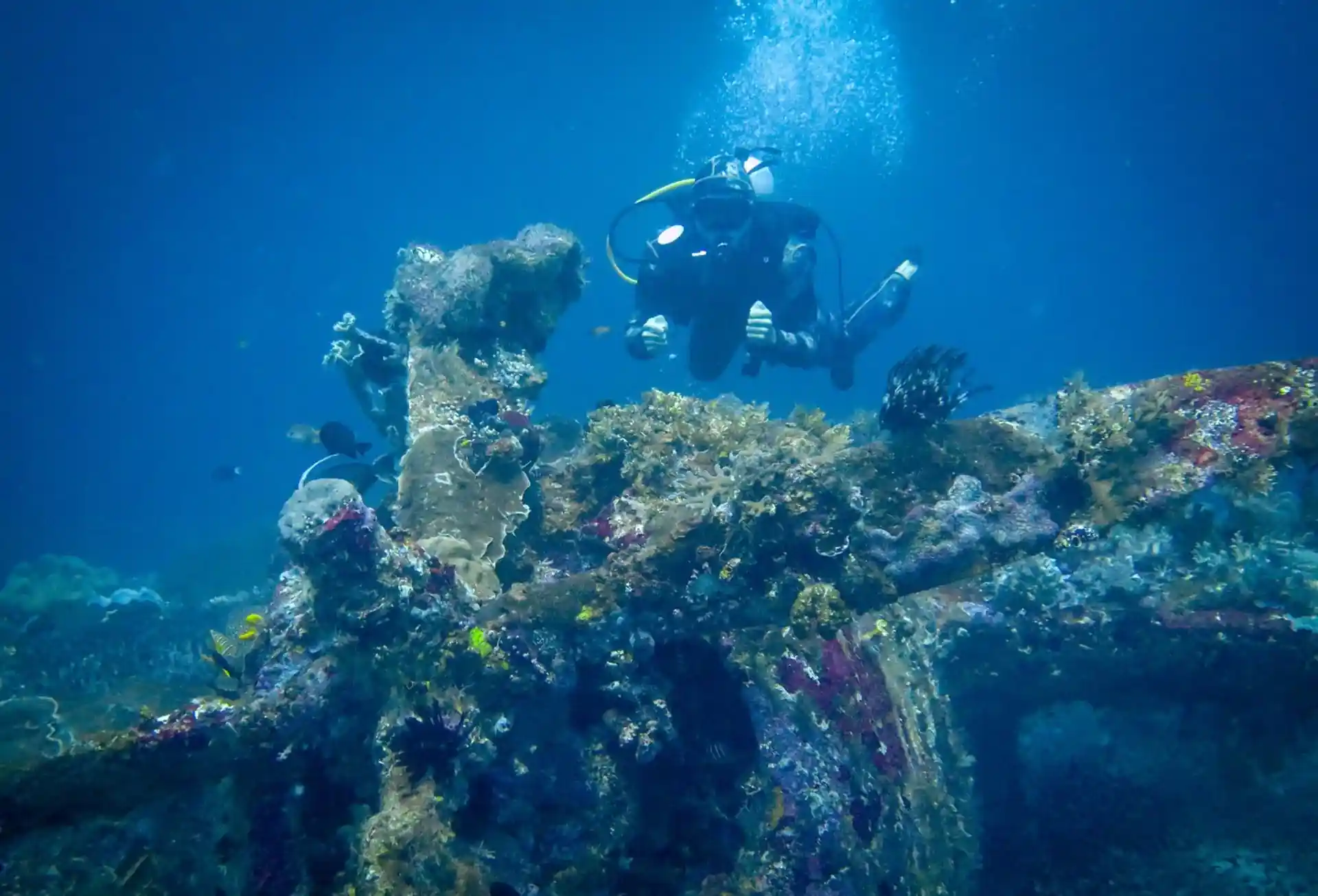 ダイビングサイトの写真