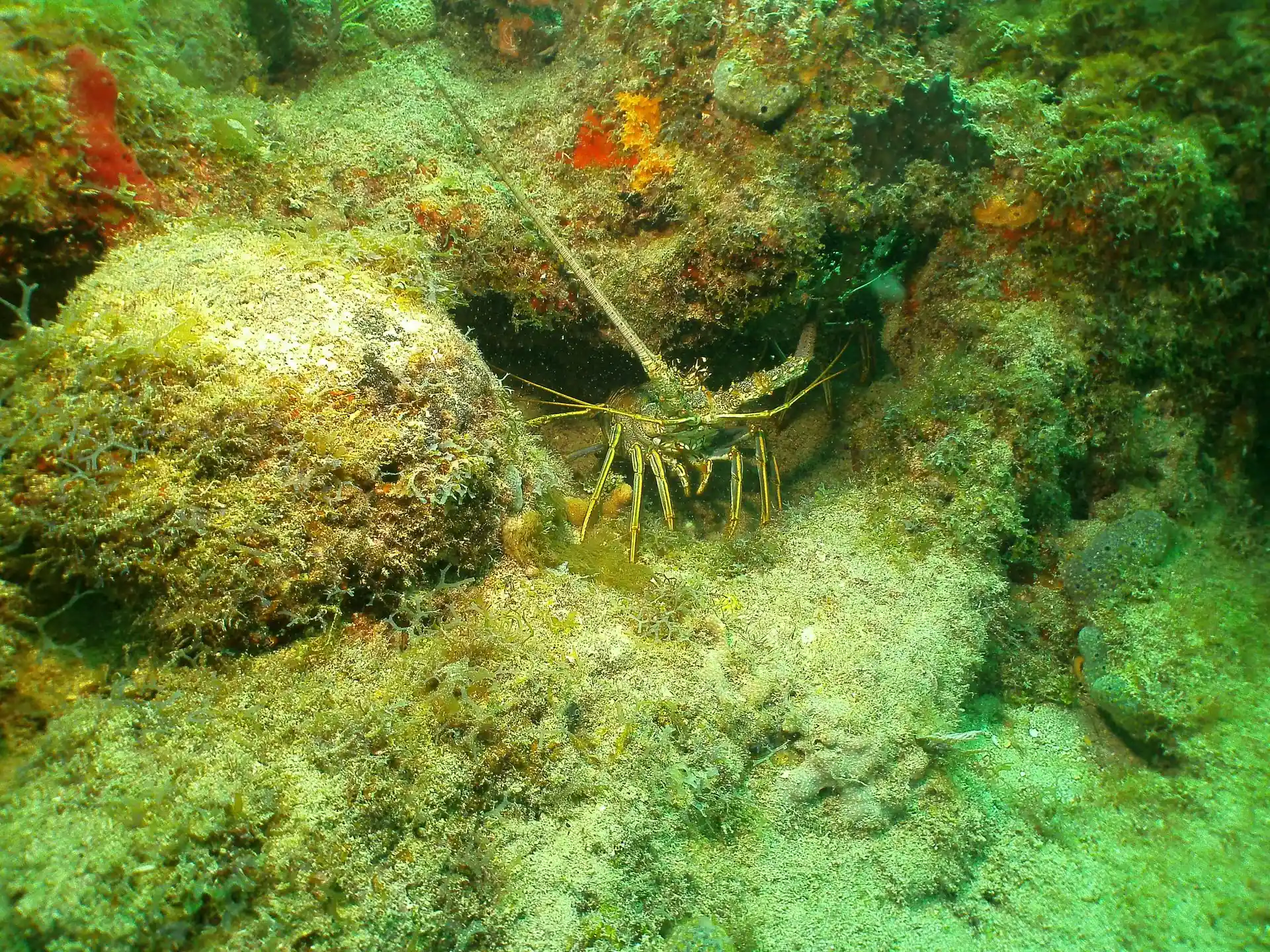 Dive site photo