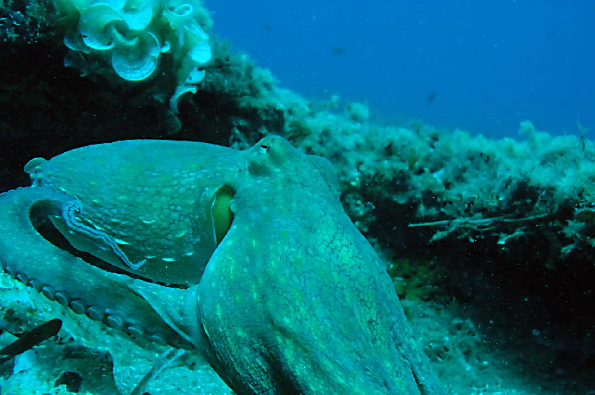 Photo de l'activité