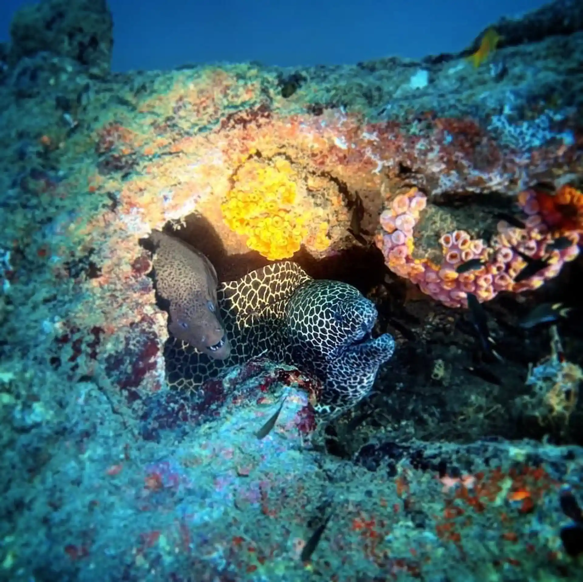 Photo de l'activité