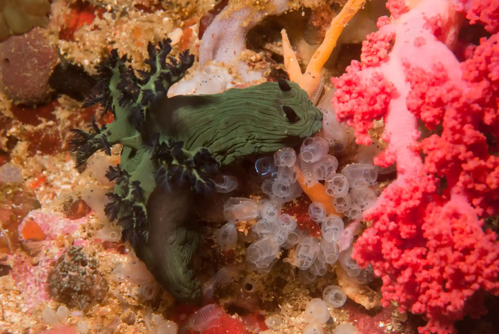 Photo de l'activité