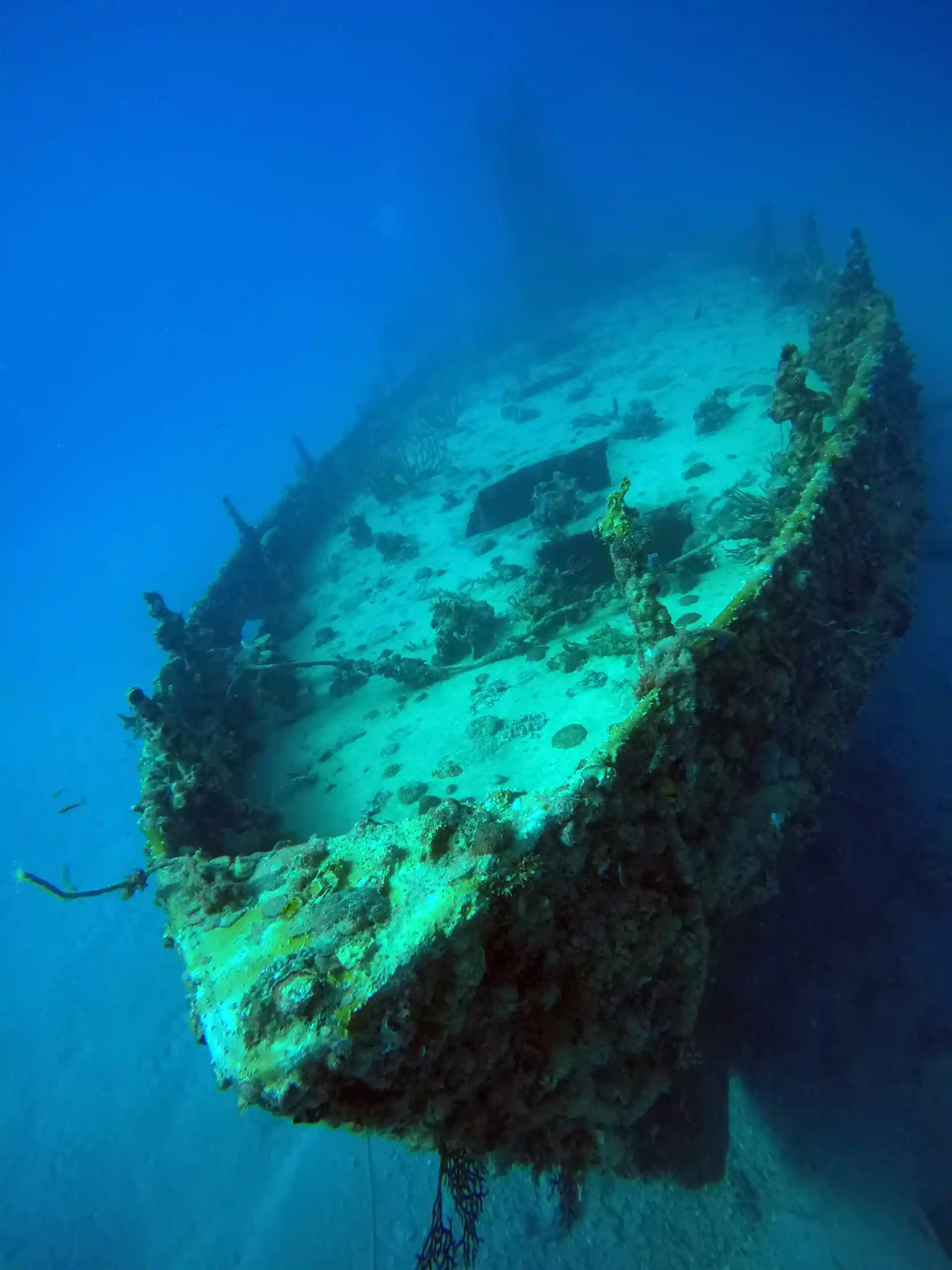 Dive shop photo