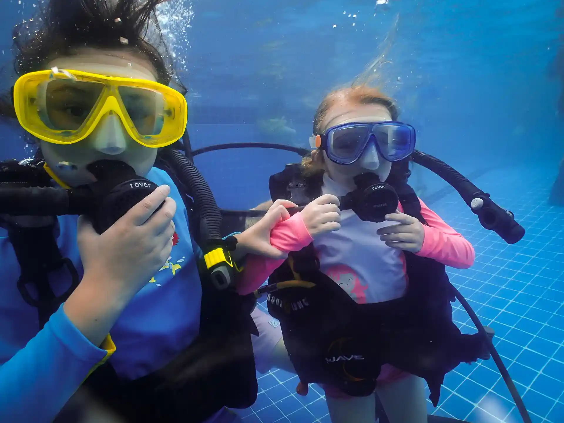 Master the skills needed to dive in the ocean